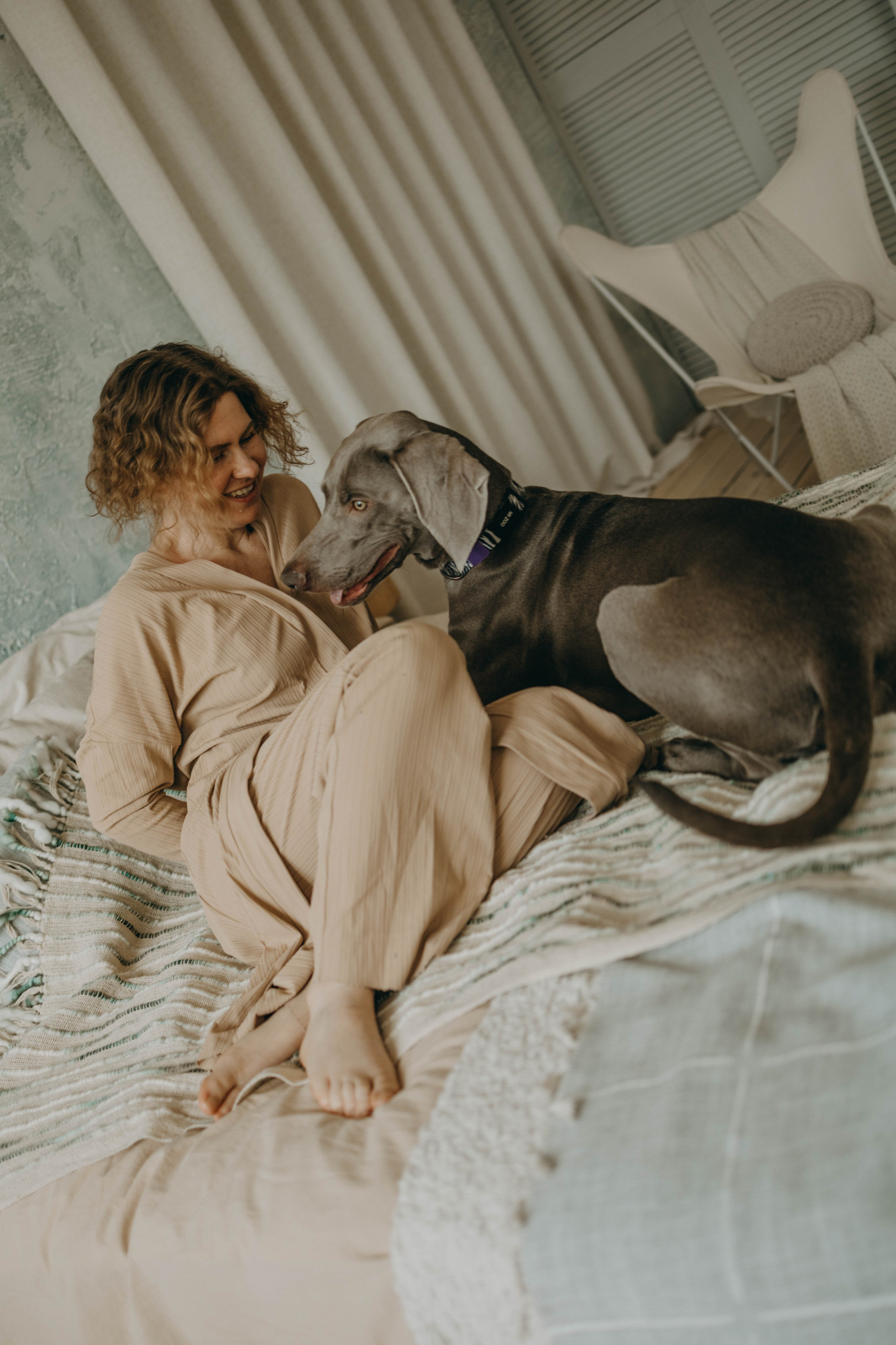 Фотосессия в студии с собакой. Фотограф-анималист в Екатеринбурге | Кристина