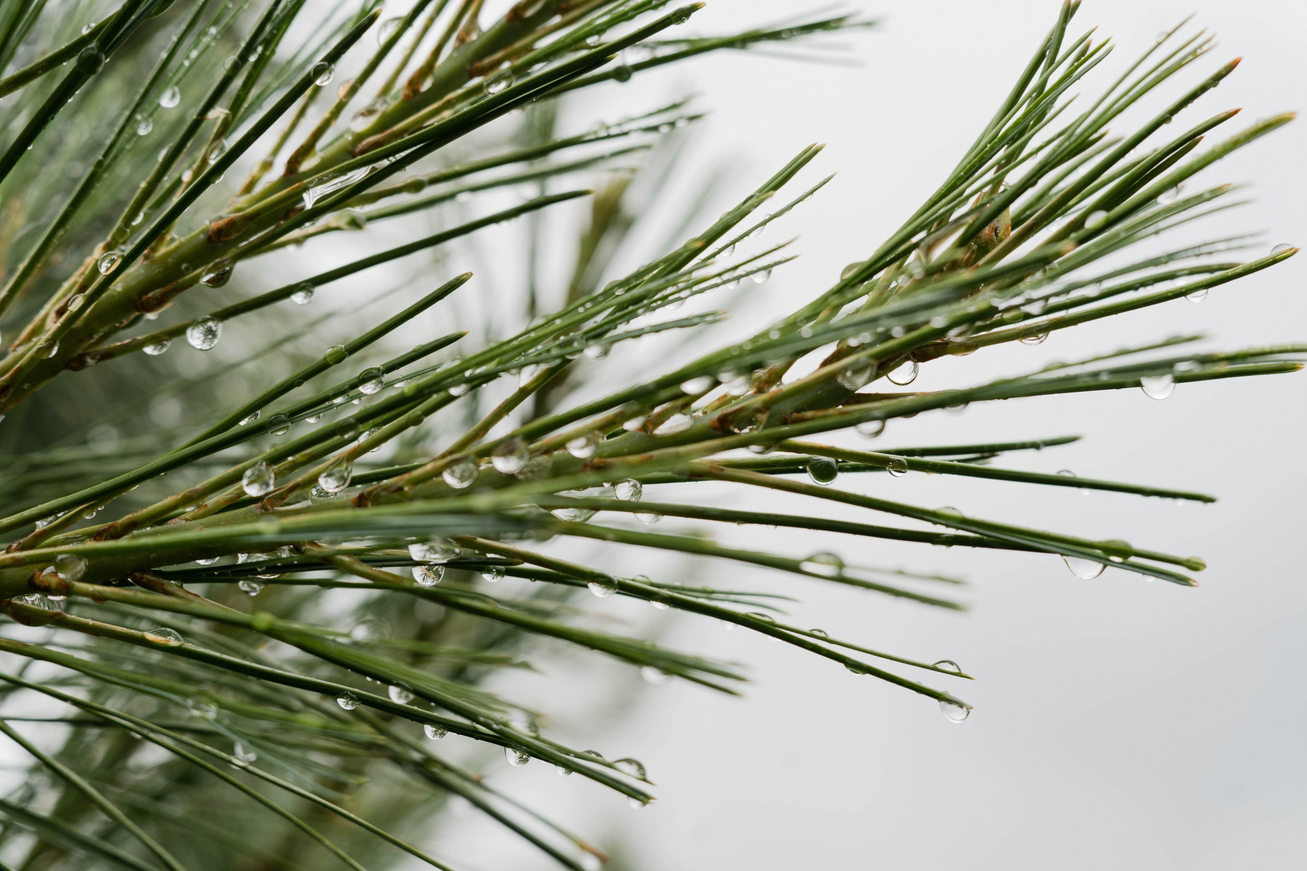 9 лет Андрею. ФОТОГРАФ КСЕНИЯ СОСНОВСКАЯ