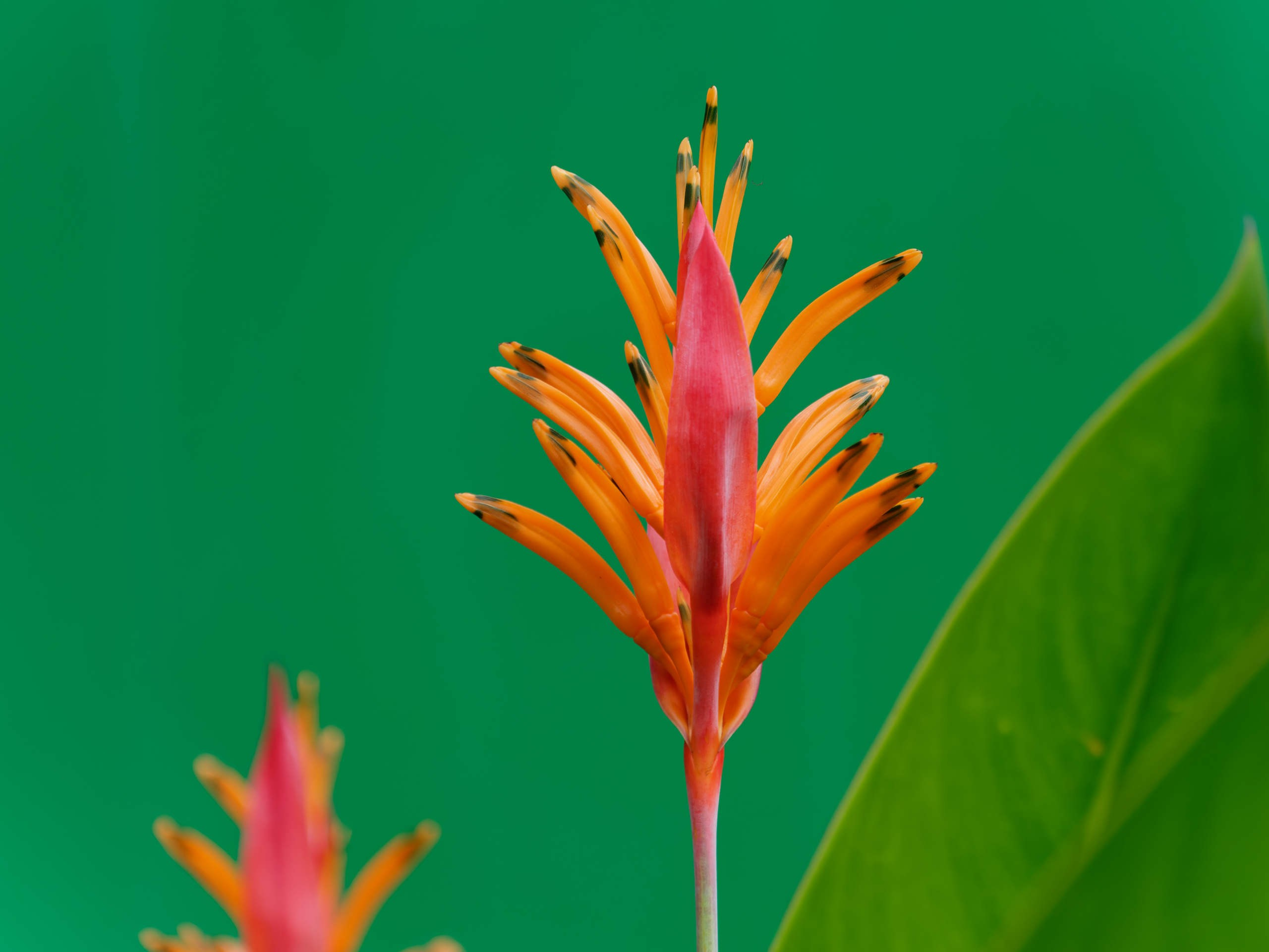 Нячанг 2025 (4). Избранные фотографии