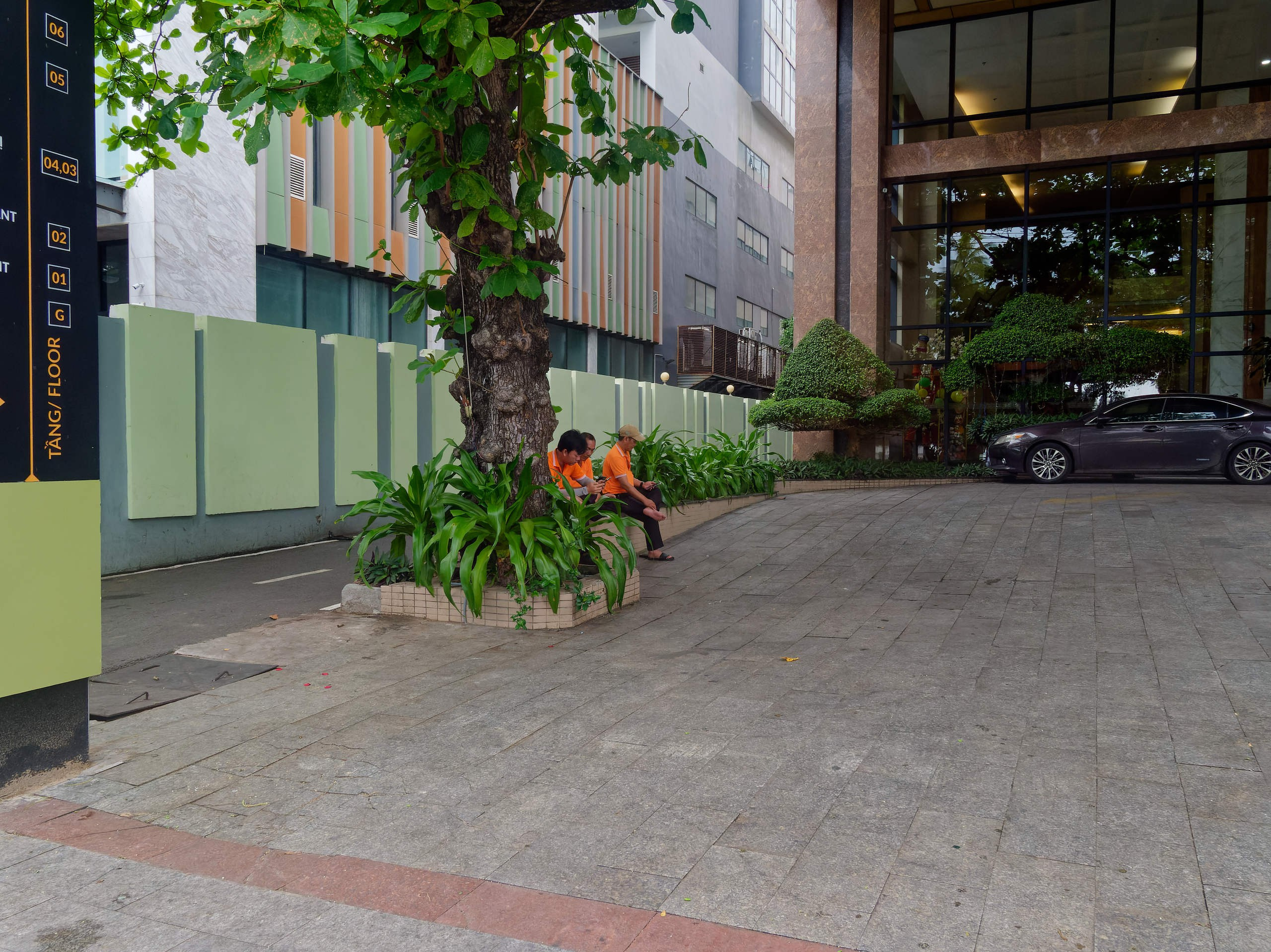 Нячанг 2025 (5). Избранные фотографии