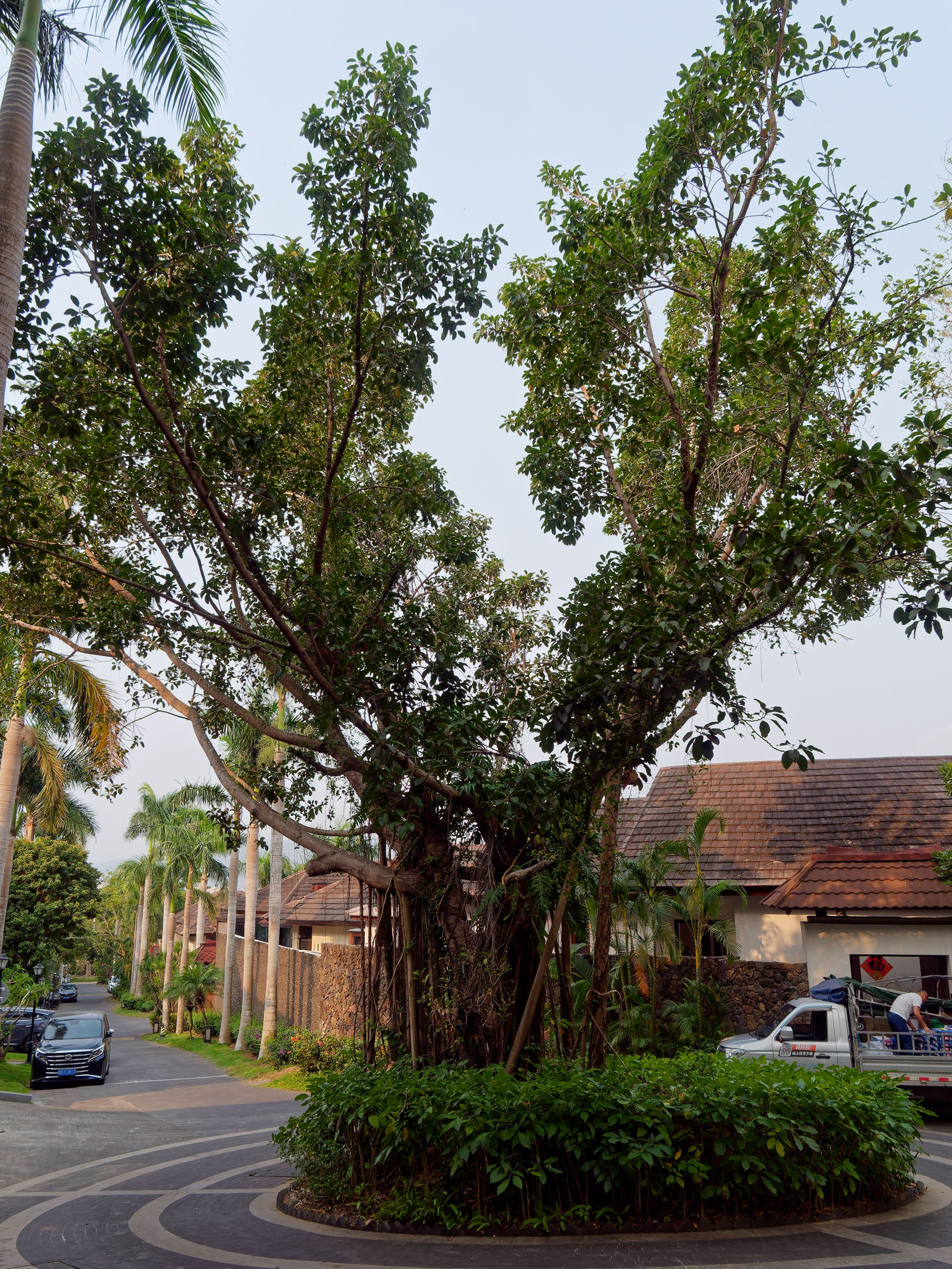 Хайнань 2026, отель «Stony Brook Villa Jianguo Resort Sanya 4*». Фотопрогулки по Миру