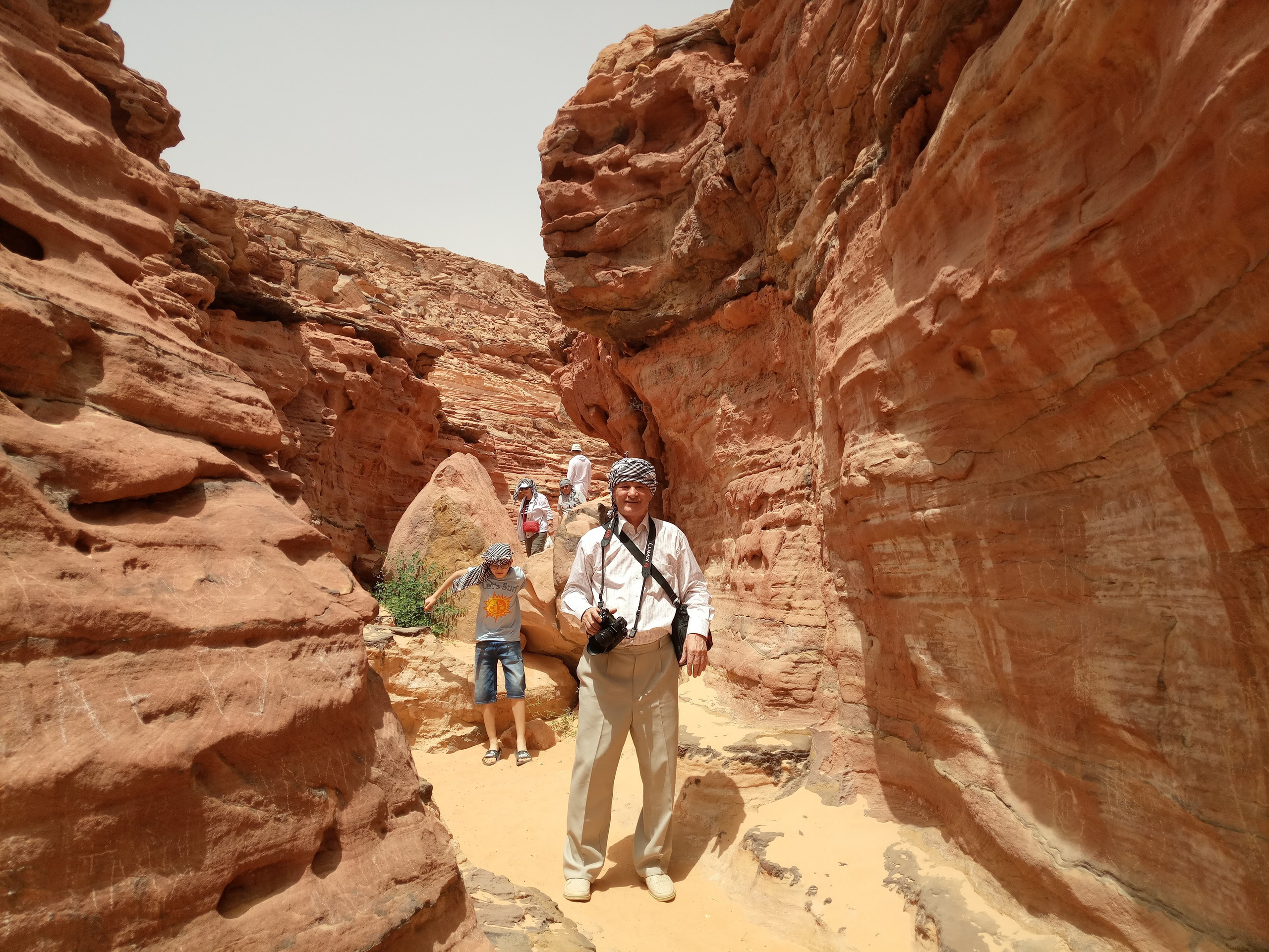 Шарм-эль-Шейх 2022, сафари. Избранные фотографии