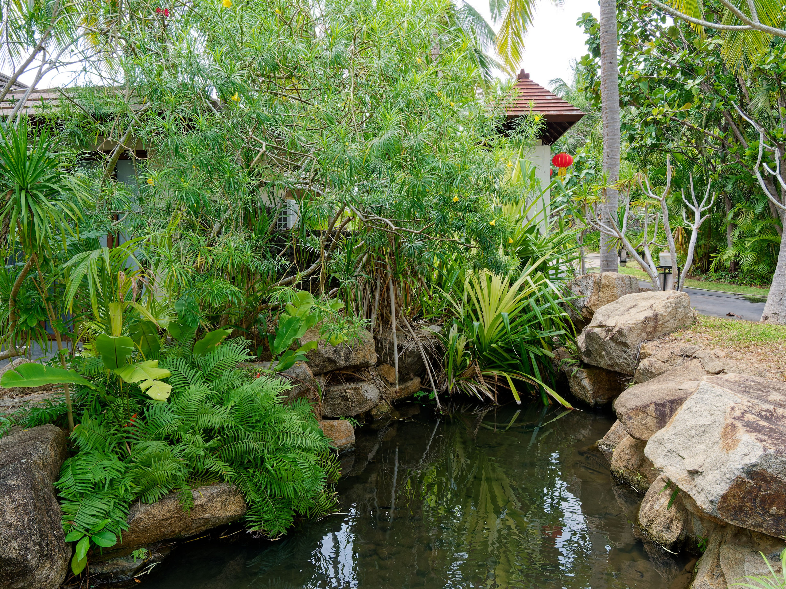 Хайнань 2026, первые впечатления. Фотопрогулки по Миру