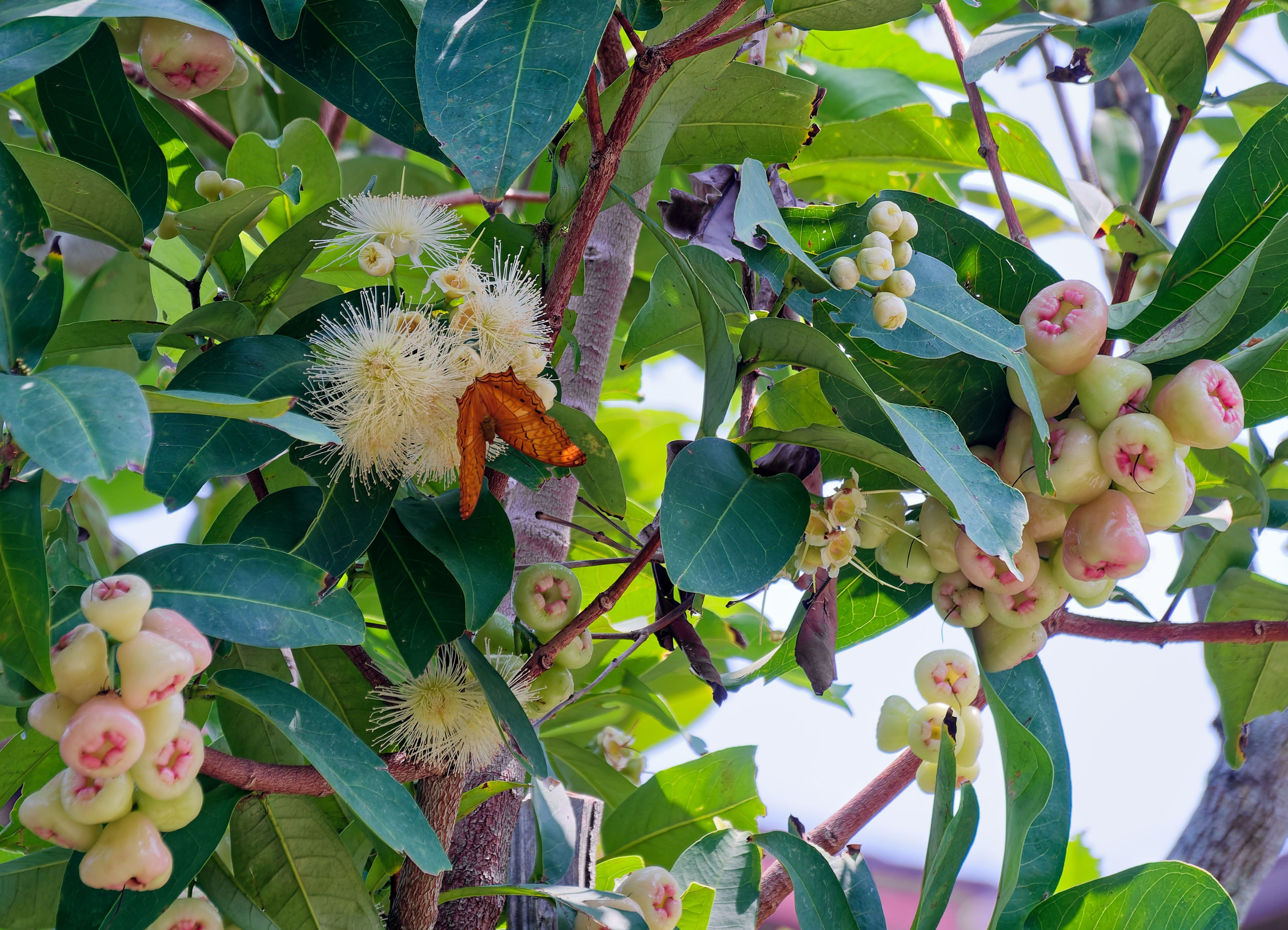 Хайнань 2026, отель «Stony Brook Villa Jianguo Resort Sanya 4*». Фотопрогулки по Миру