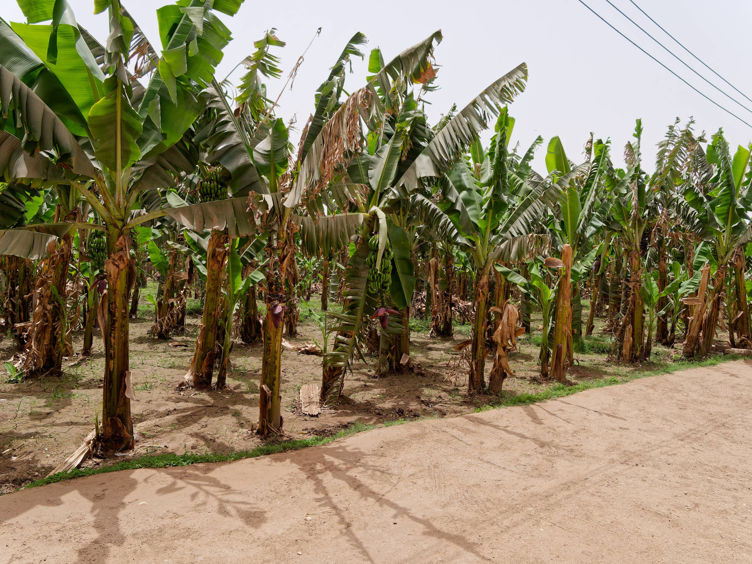 Луксор 2022, Нил, Долина царей. Избранные фотографии