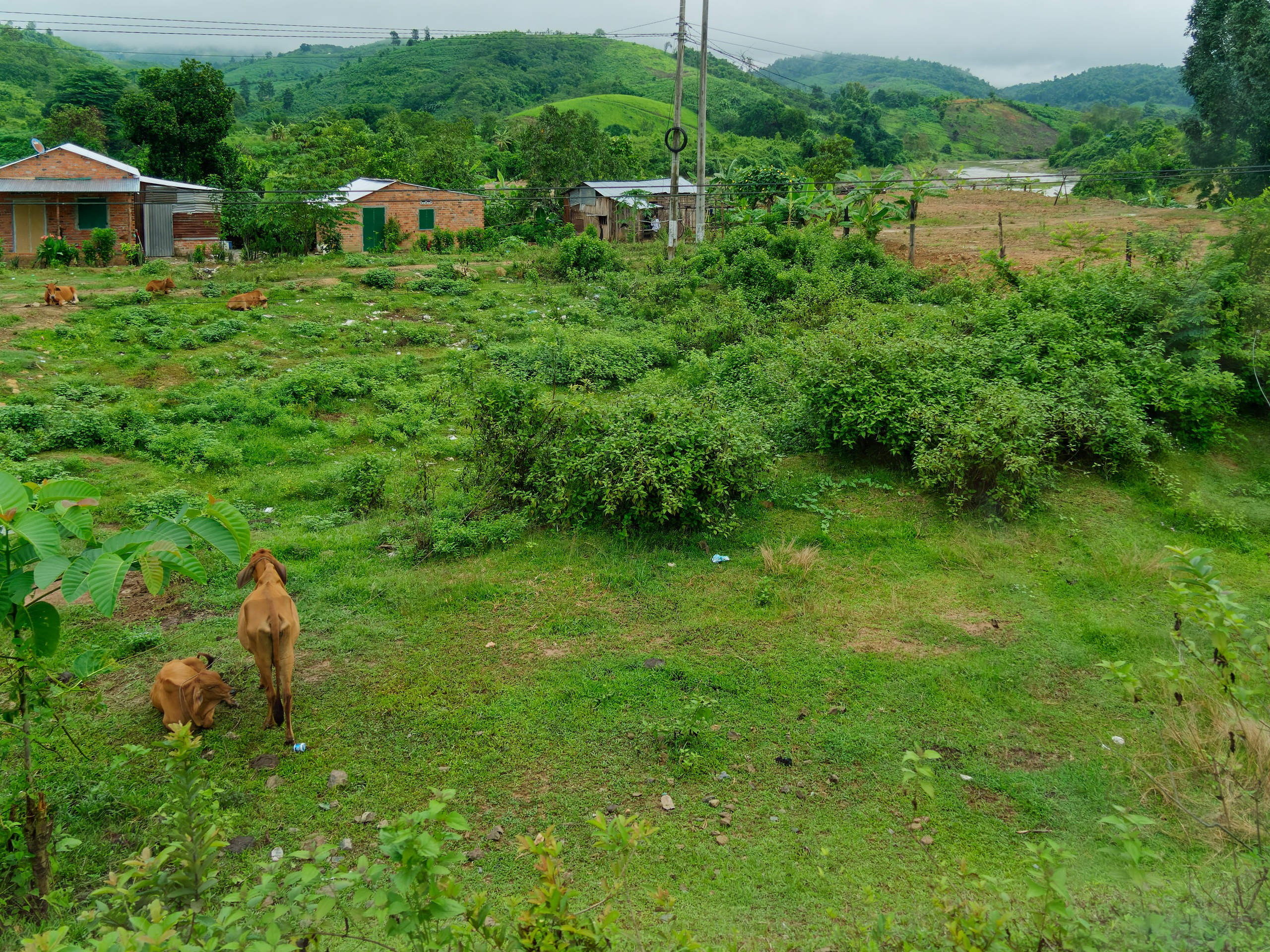 Далат 2023. Избранные фотографии