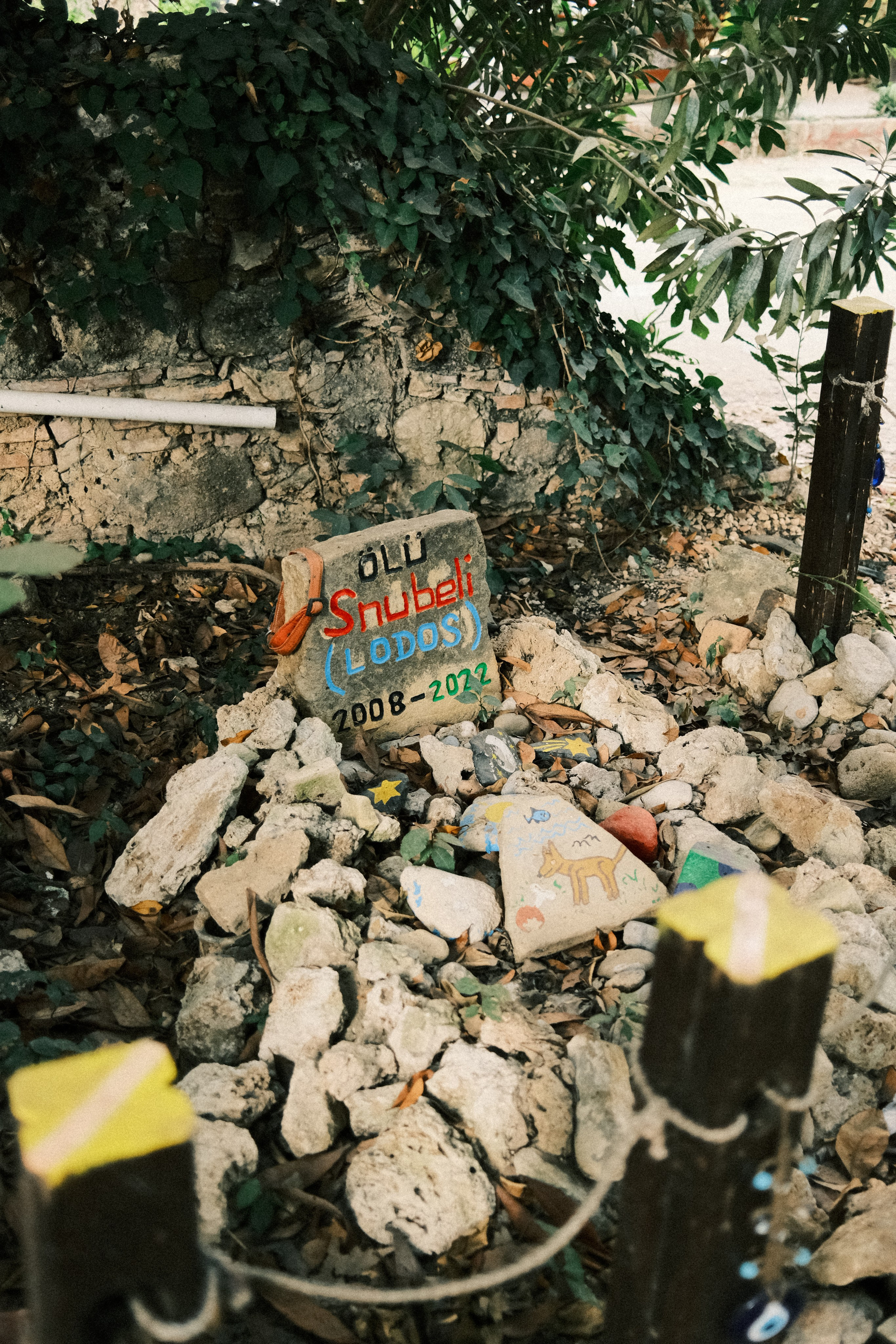 Молчание. Портретный фотограф