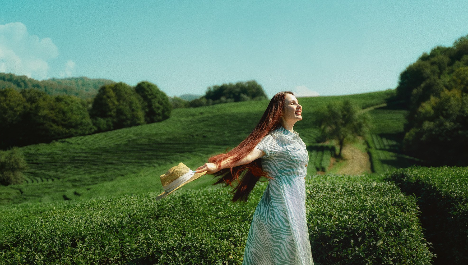 Фототуры в Сочи чайные плантации