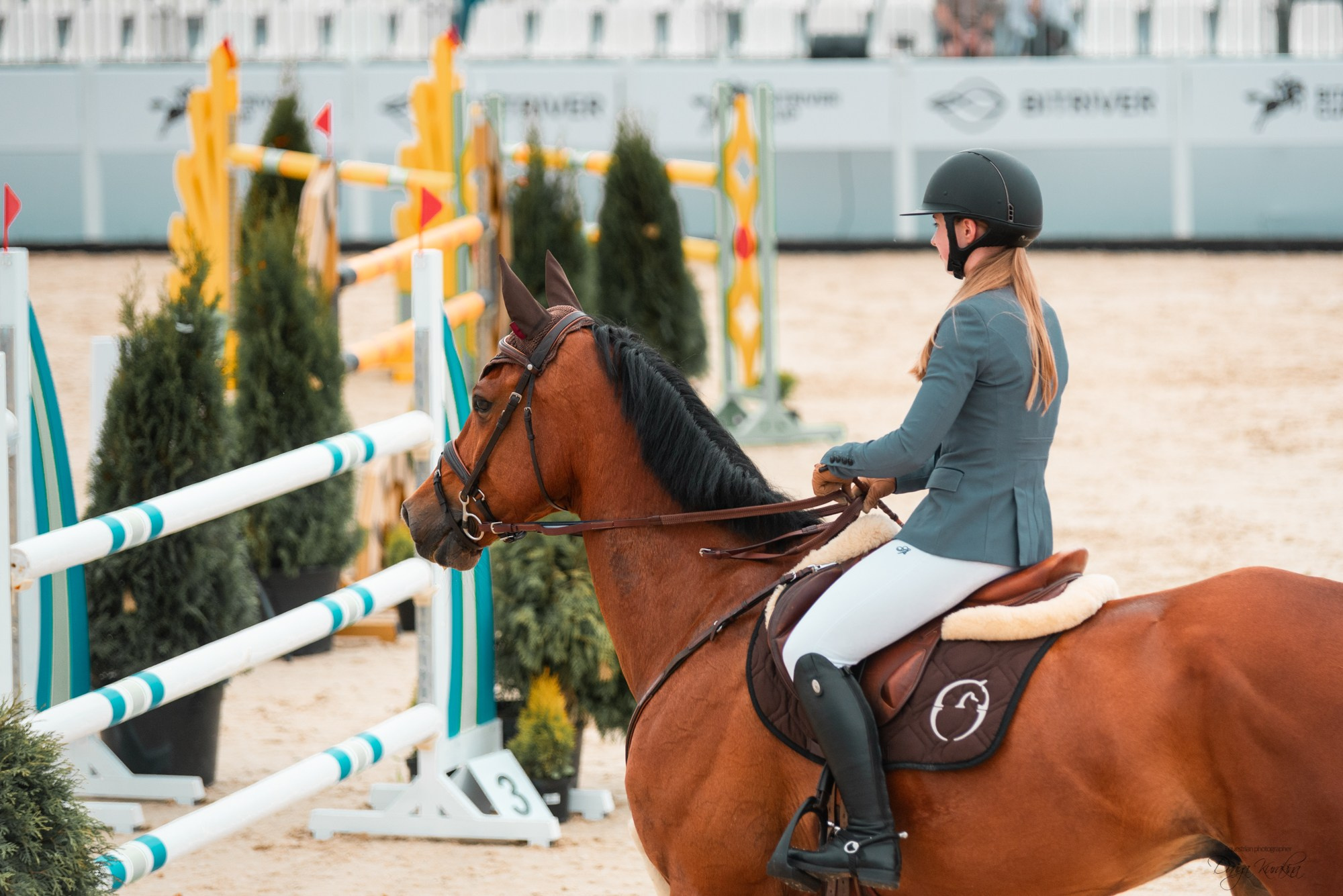 BITRIVER CUP 2023. Конный фотограф Куракина Дарья • Фотосессии с лошадьми