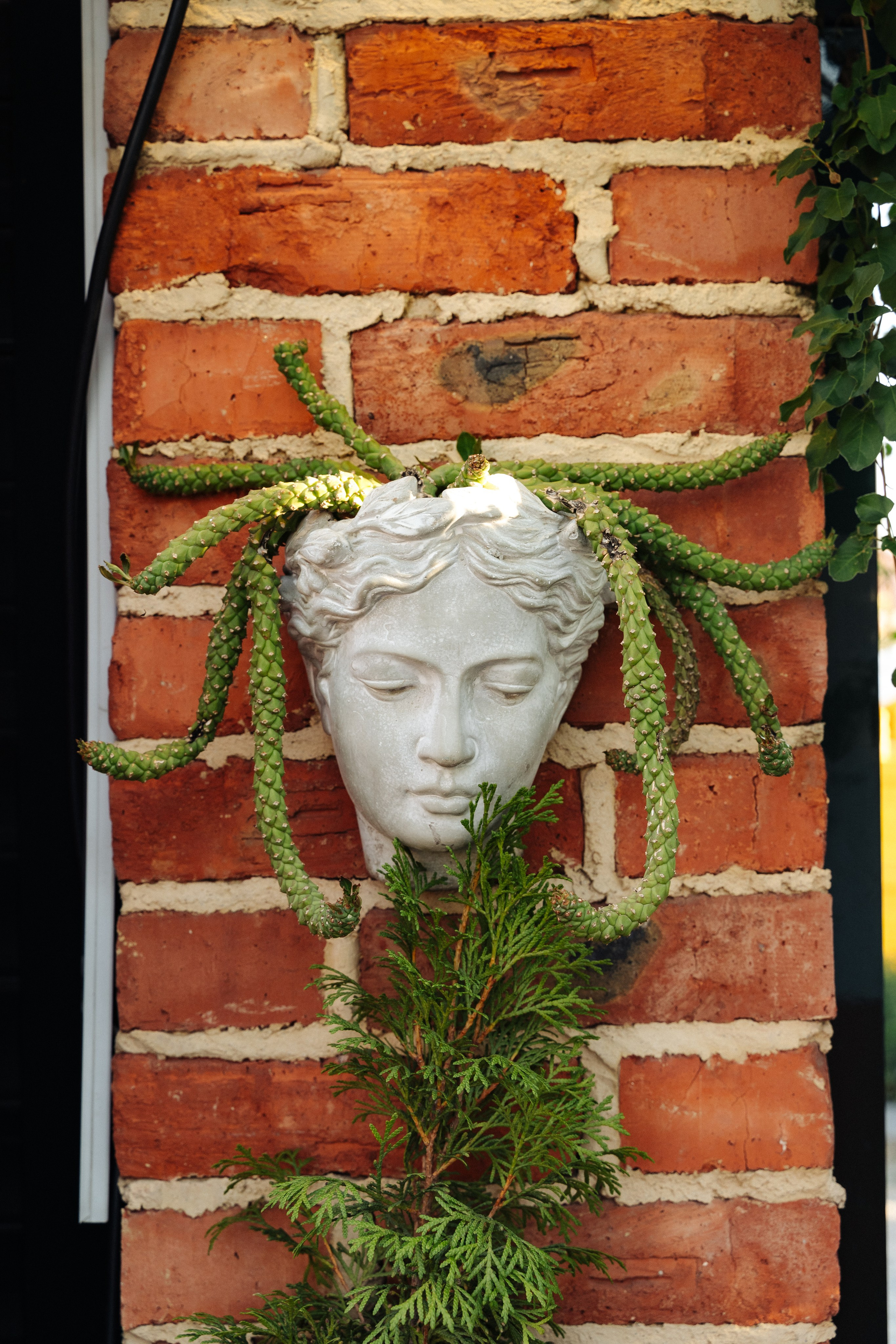 Гастроужин LOVELIFE. Свадебный фотограф  Ростов-на-Дону Моска, Санкт — Петербург