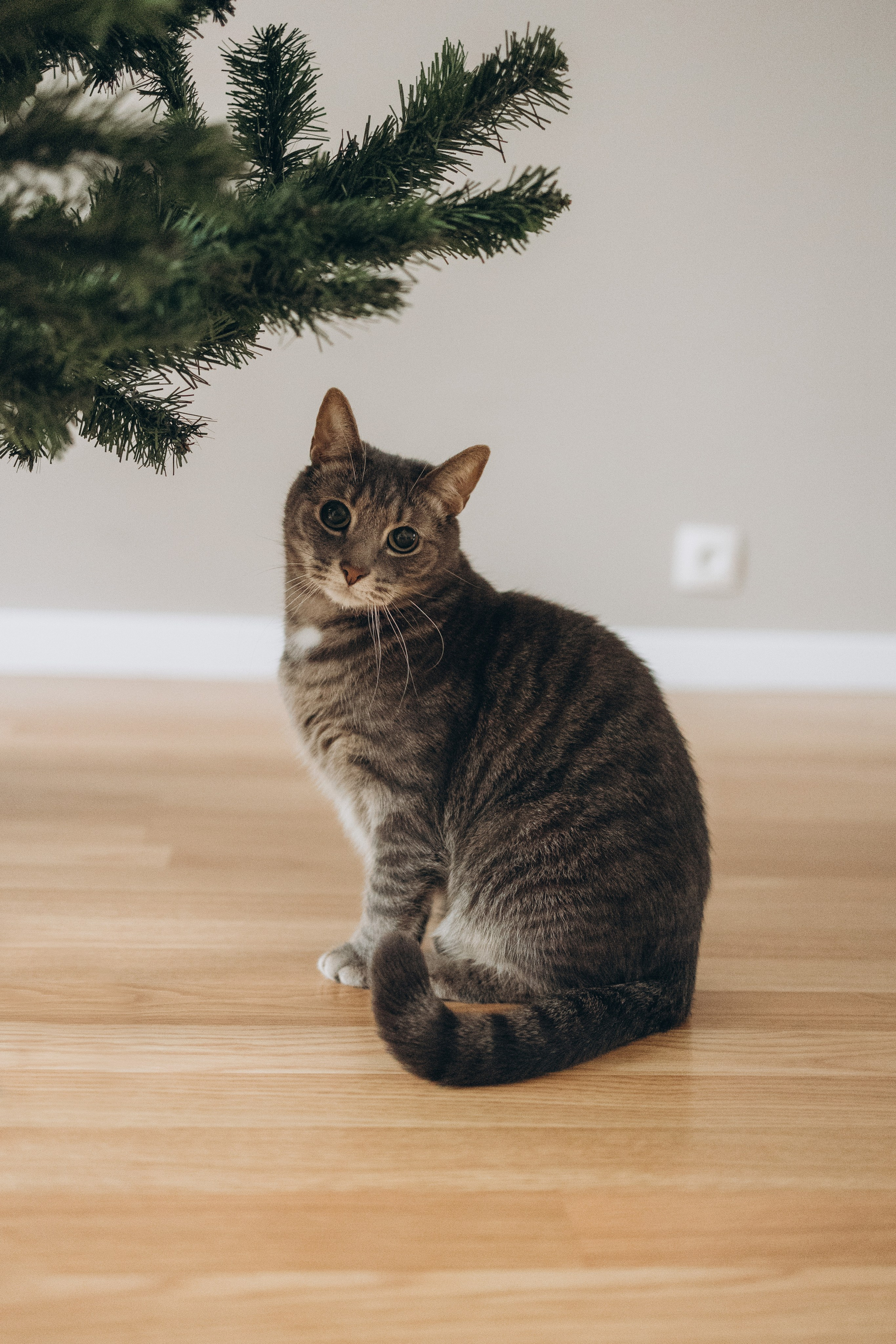 Ира и Соня. Семейный фотограф в Москве Виктория Ястребинская