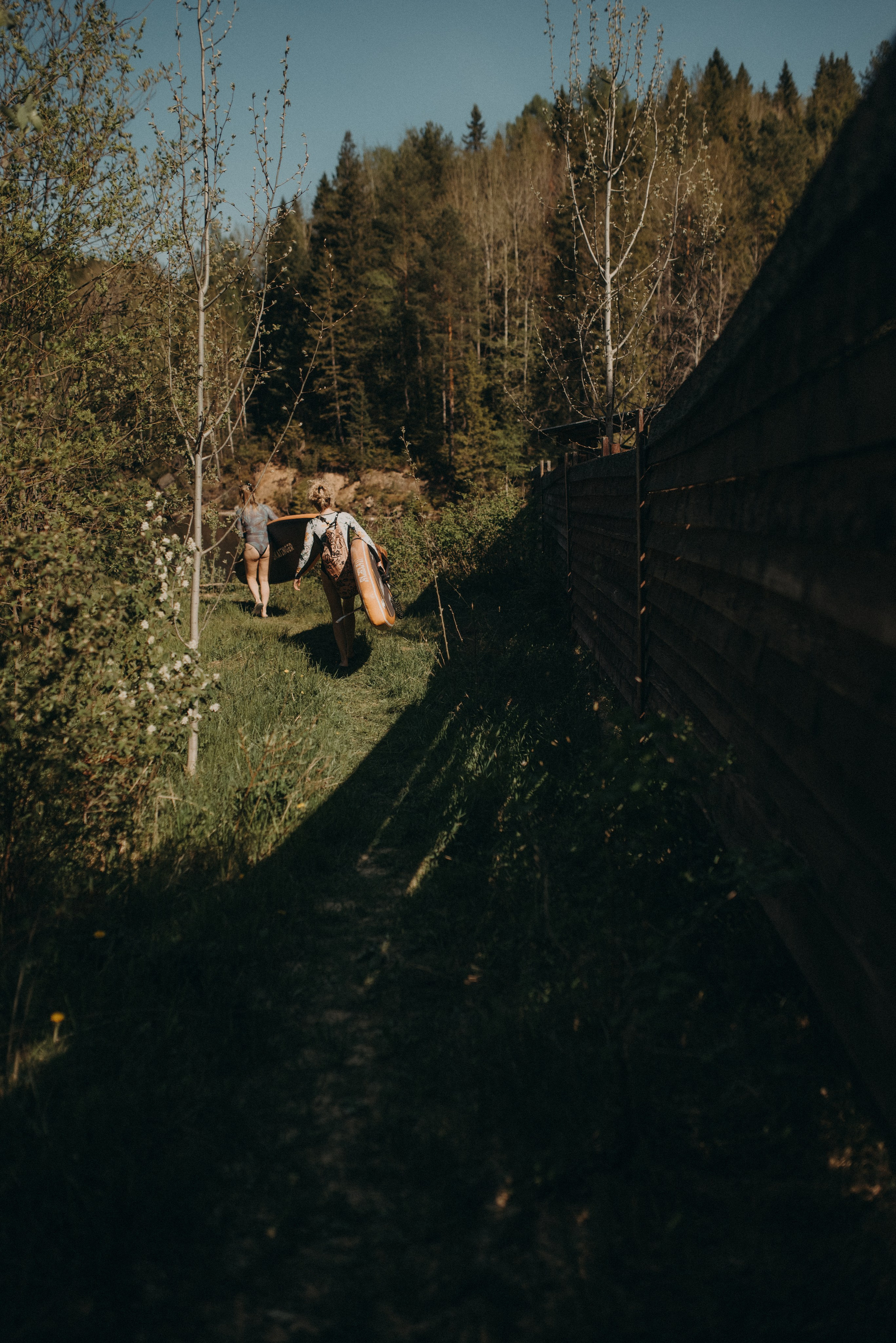 Шалаш среди леса. Главная