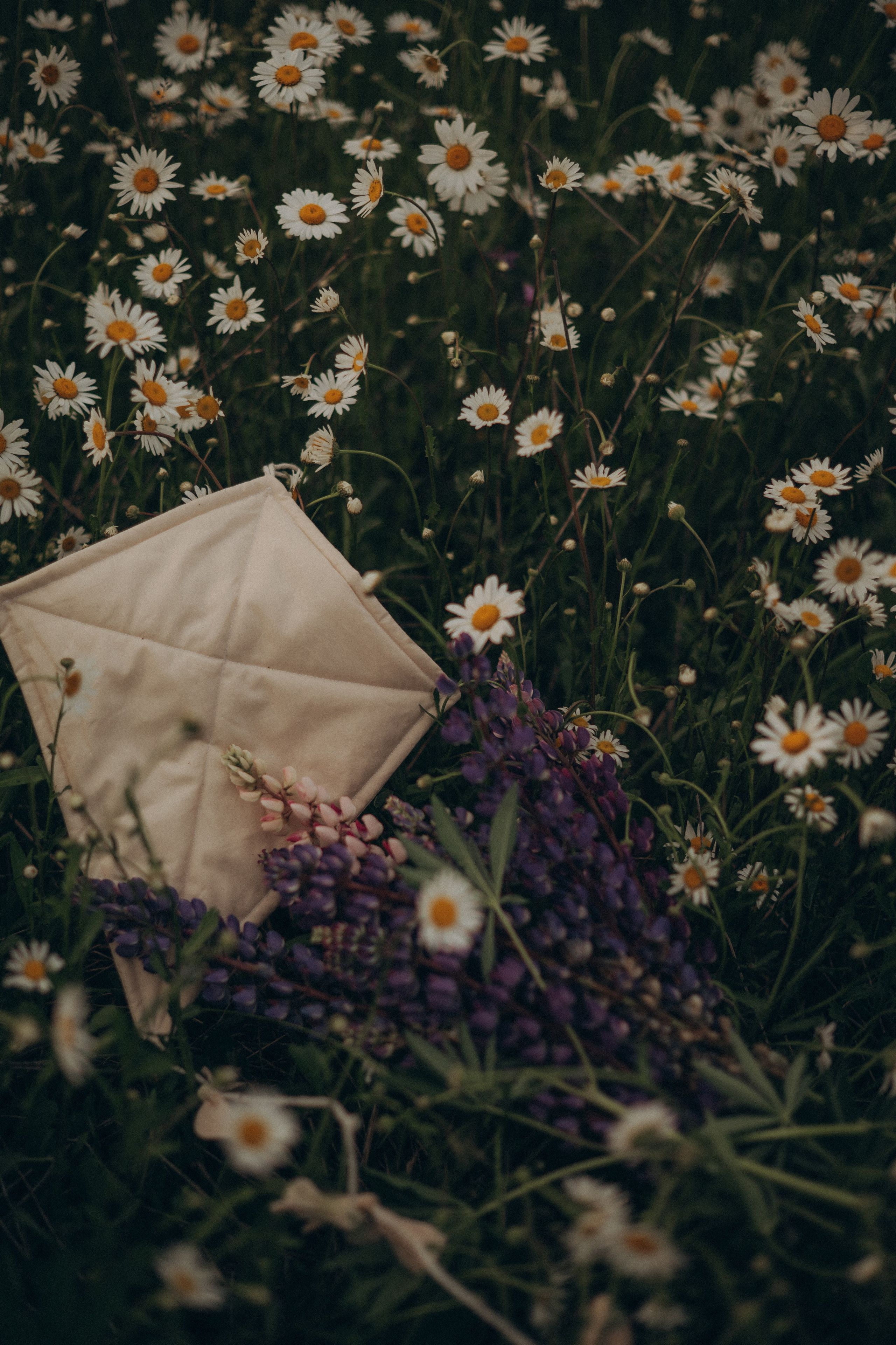 Июньская прогулка. Гаврилова Настя семейный фотограф lifestyle в Москве