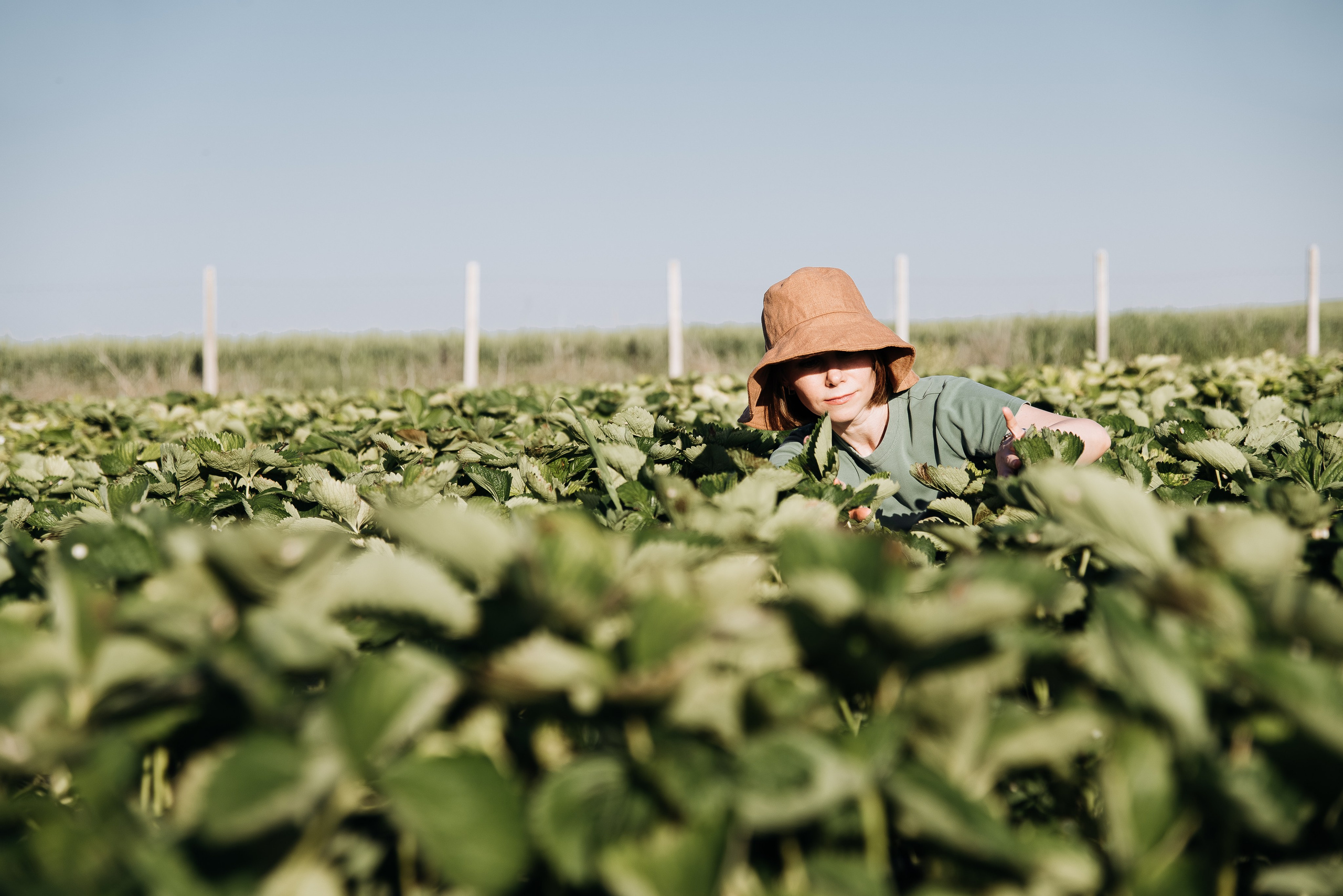 Клубнично-маковое поле. Портретный и семейный фотограф в Геленджике Таня Ходова