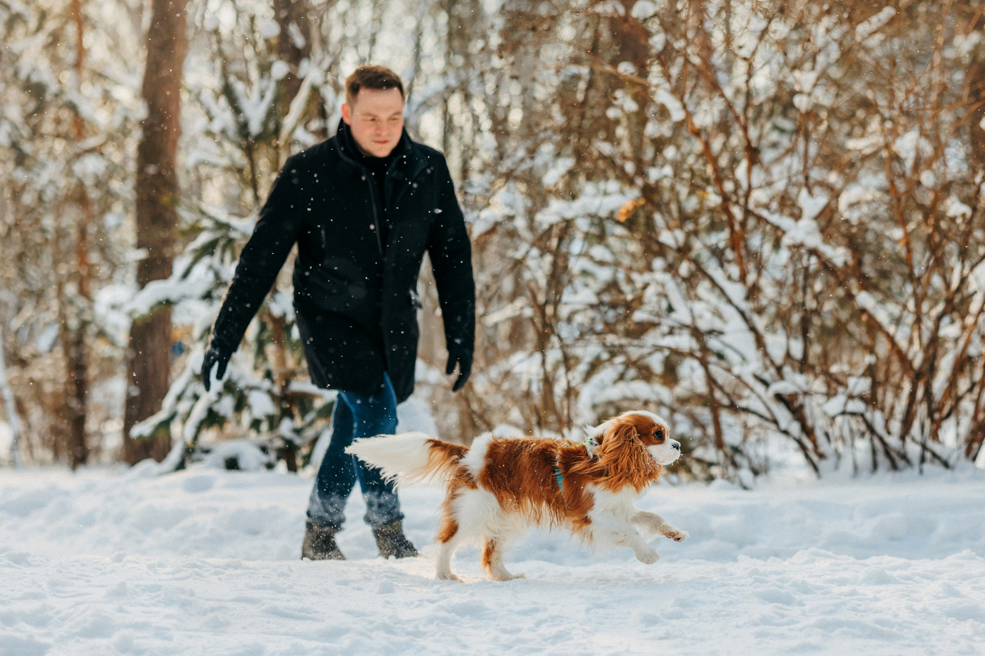 Юля, Илья и Майкл. Фотограф-анималист Елена Радченко, Москва