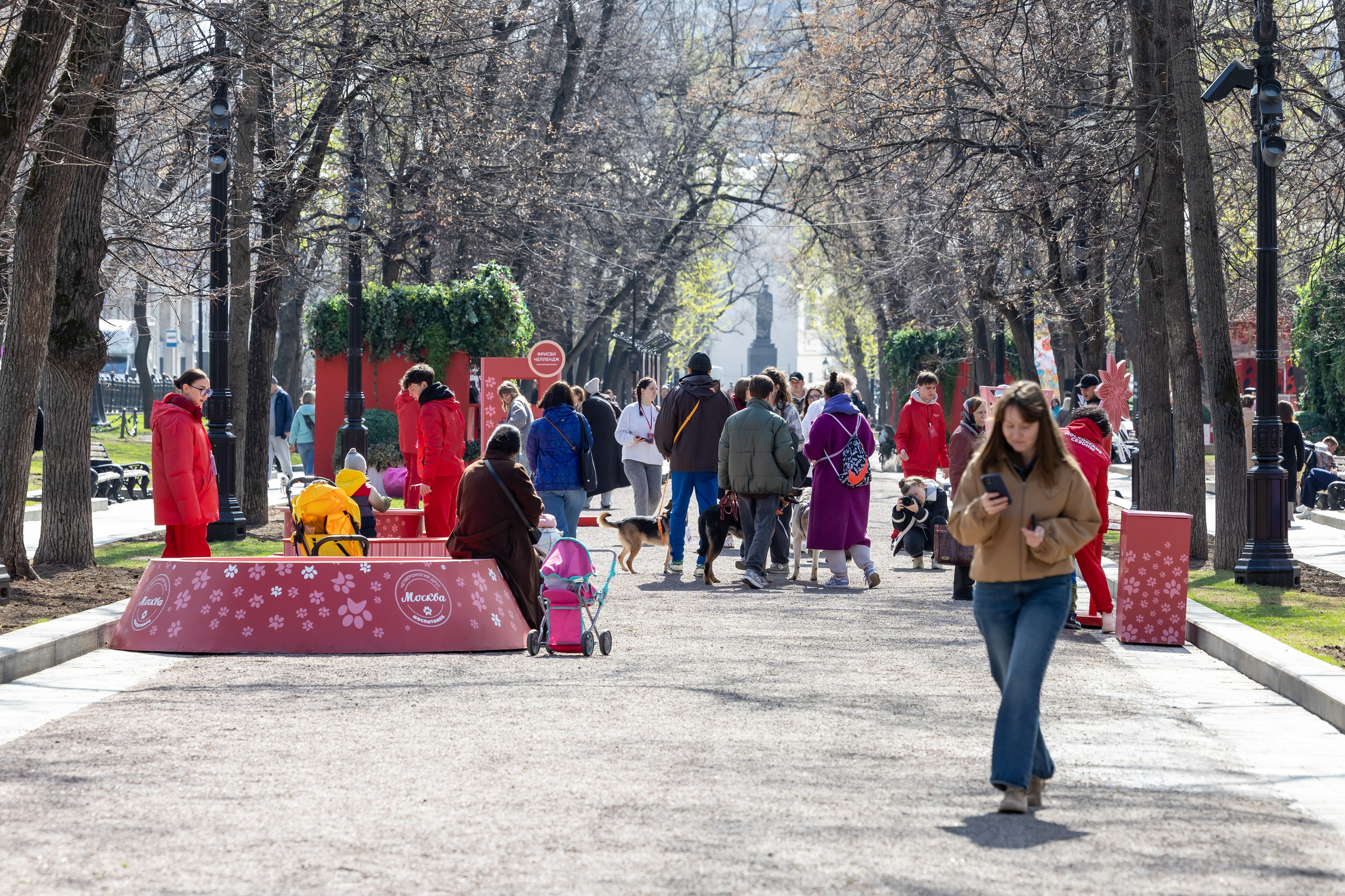 Проект «Моспитомец» на Тверском бульваре. Фотограф Владимир Охрименко