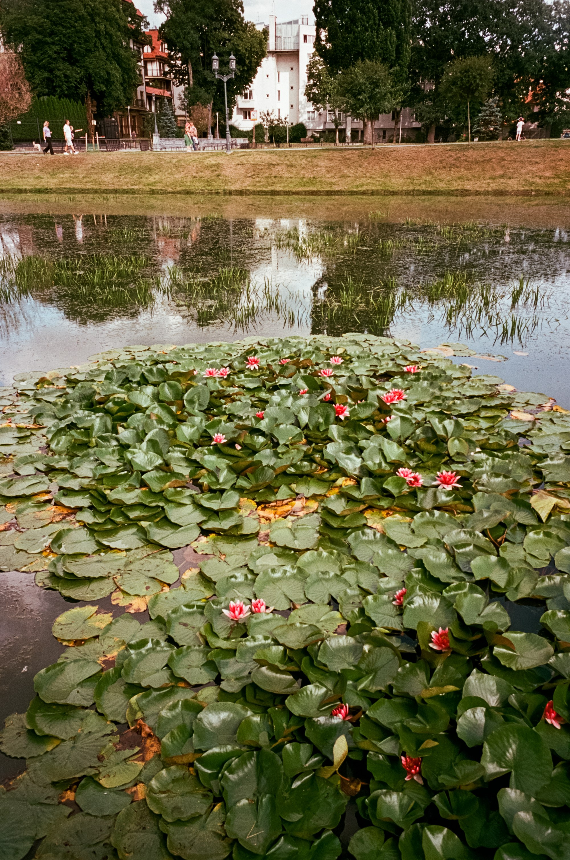 Калининградский стрит. Амалиенау, пруд Поплавок и старые улочки. Фотограф-документалист Мария Осокина