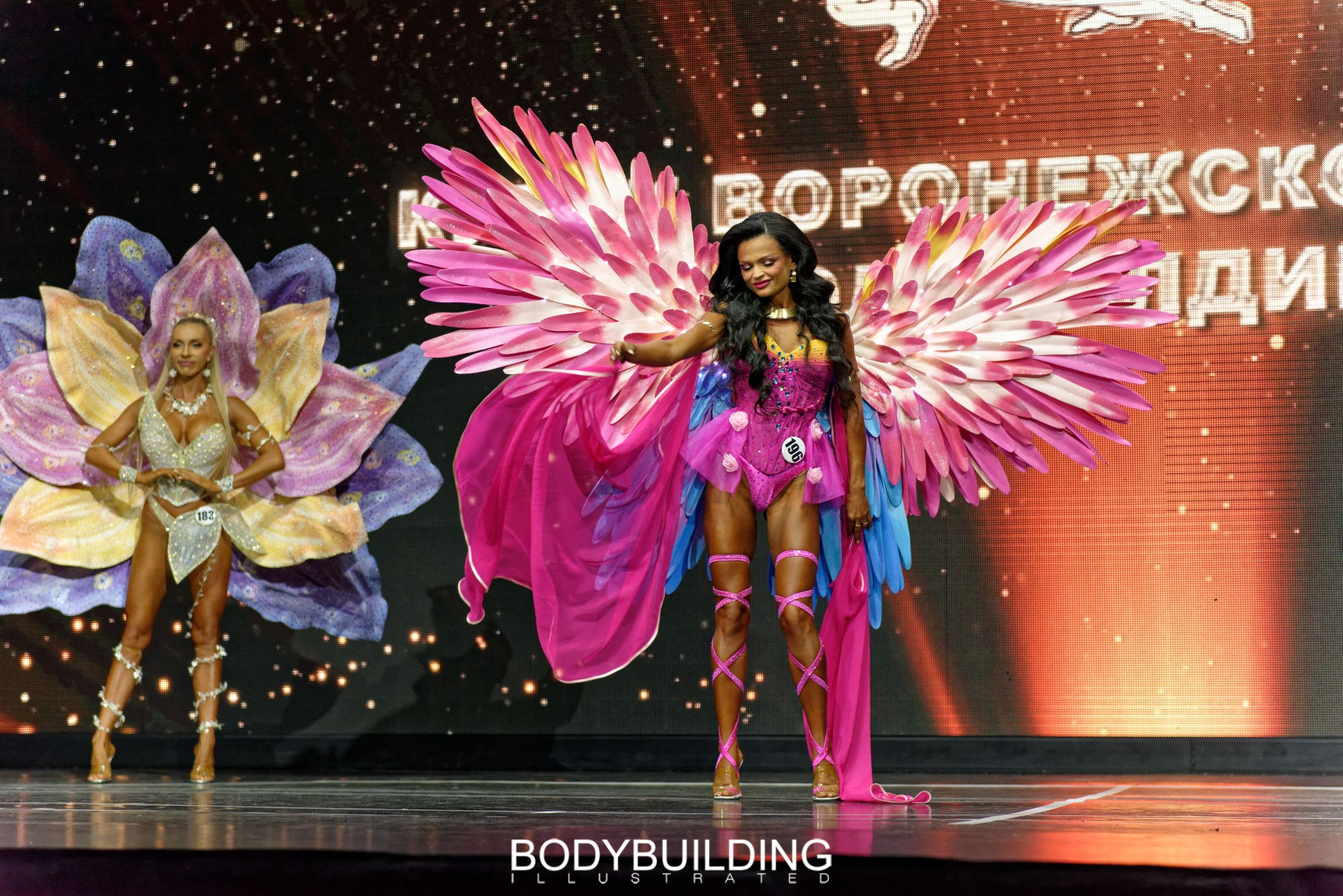 Bodybuilding Illustrated