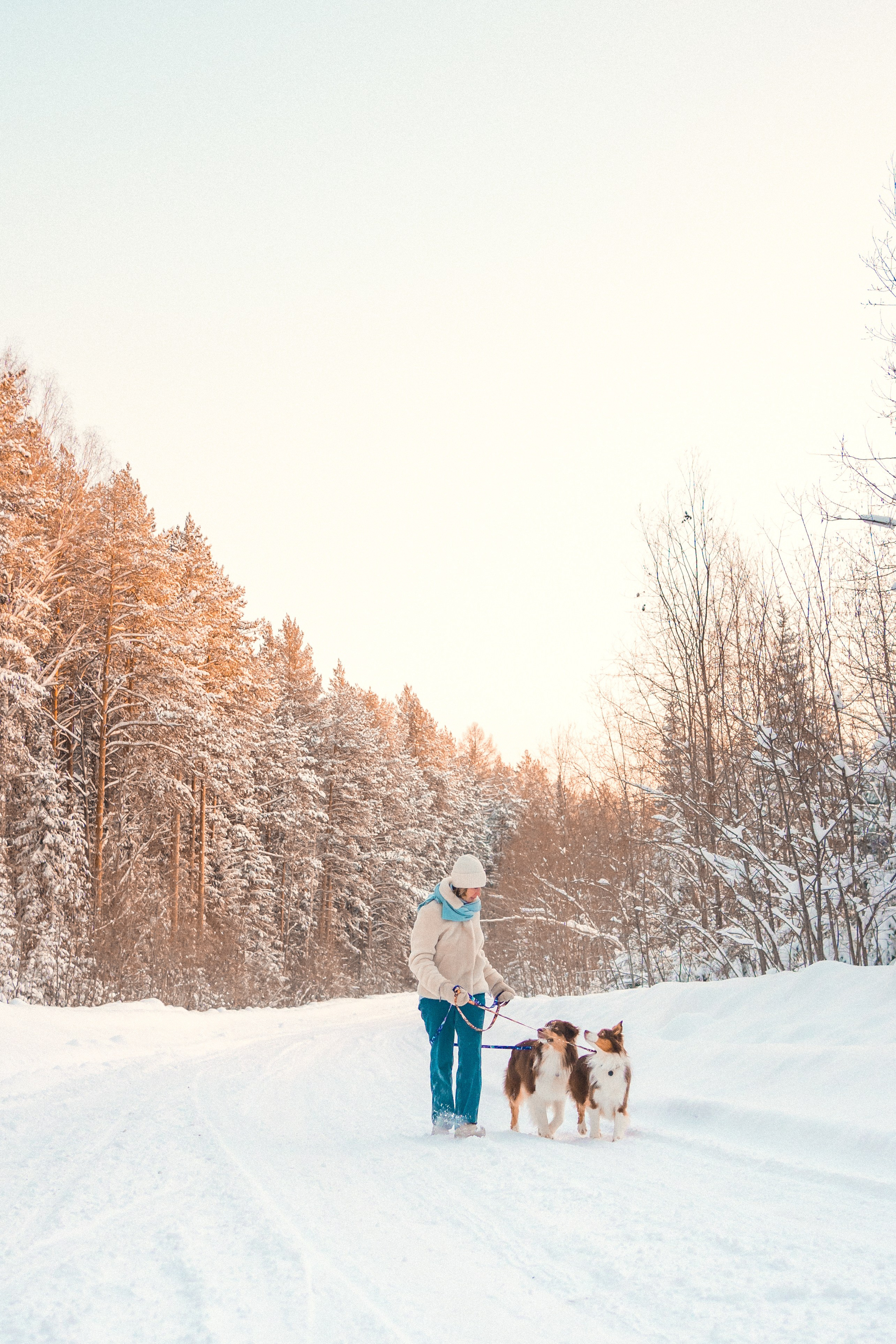 Айла и Харли. Фотограф-анималист Анастасия Большакова