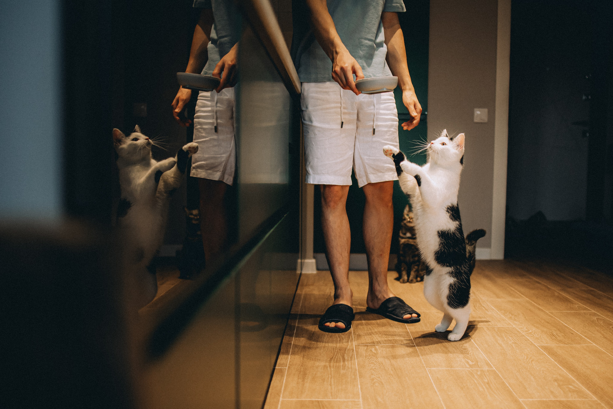 Рыся, Кепа и их семья