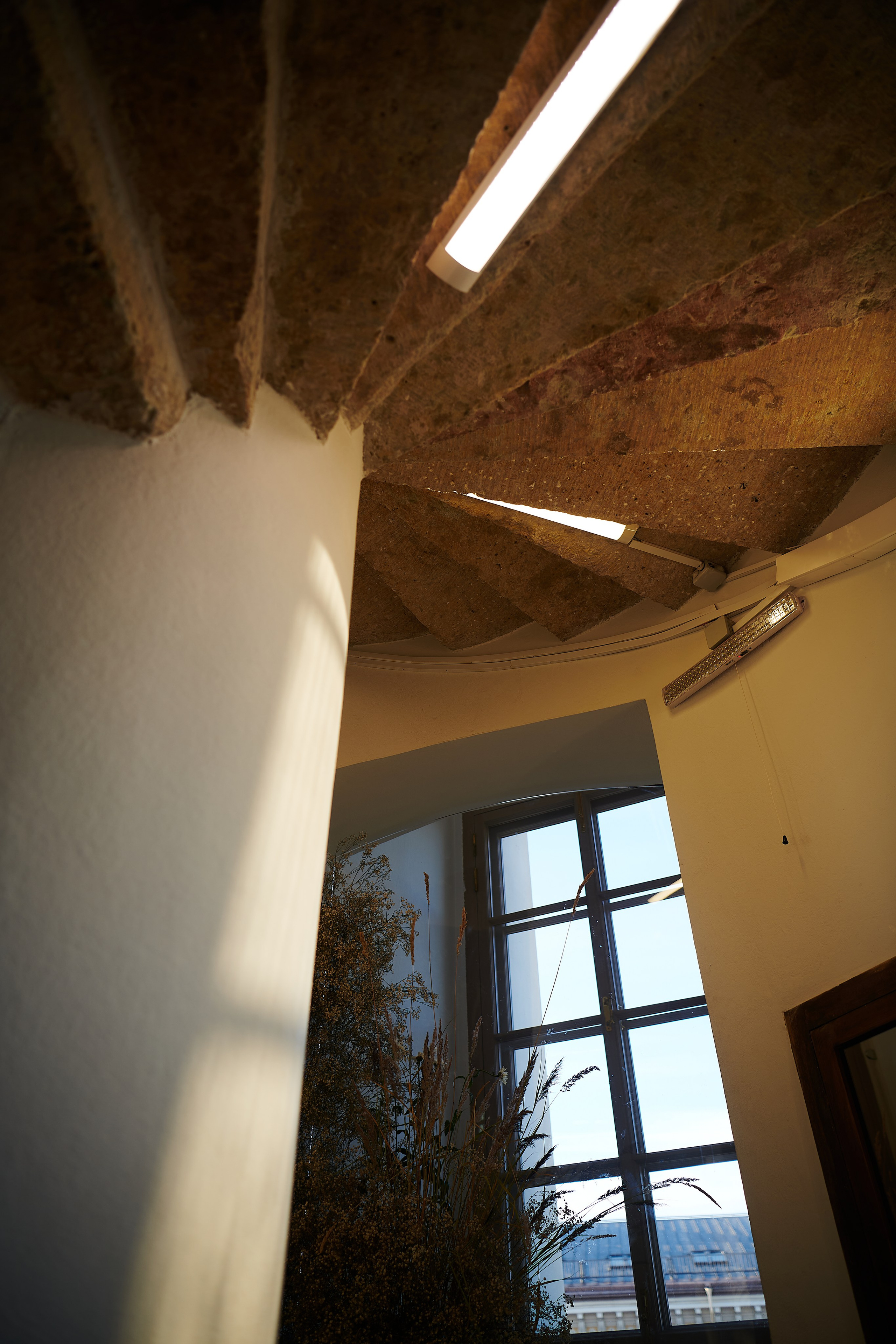 Прогулка по Петербургу. Ольга Чёкотова (Фотограф Кострома)