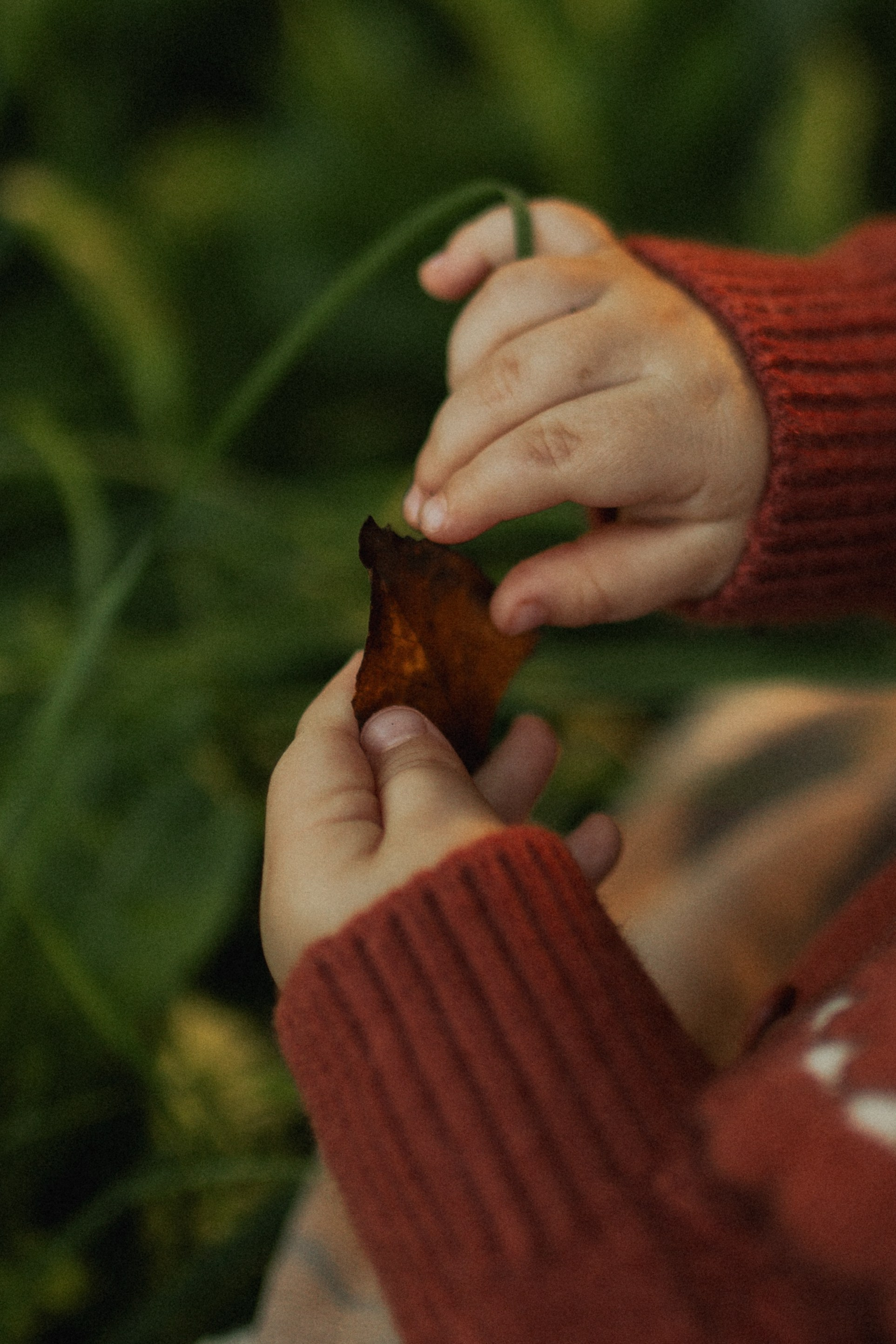 София и Мира. Главная