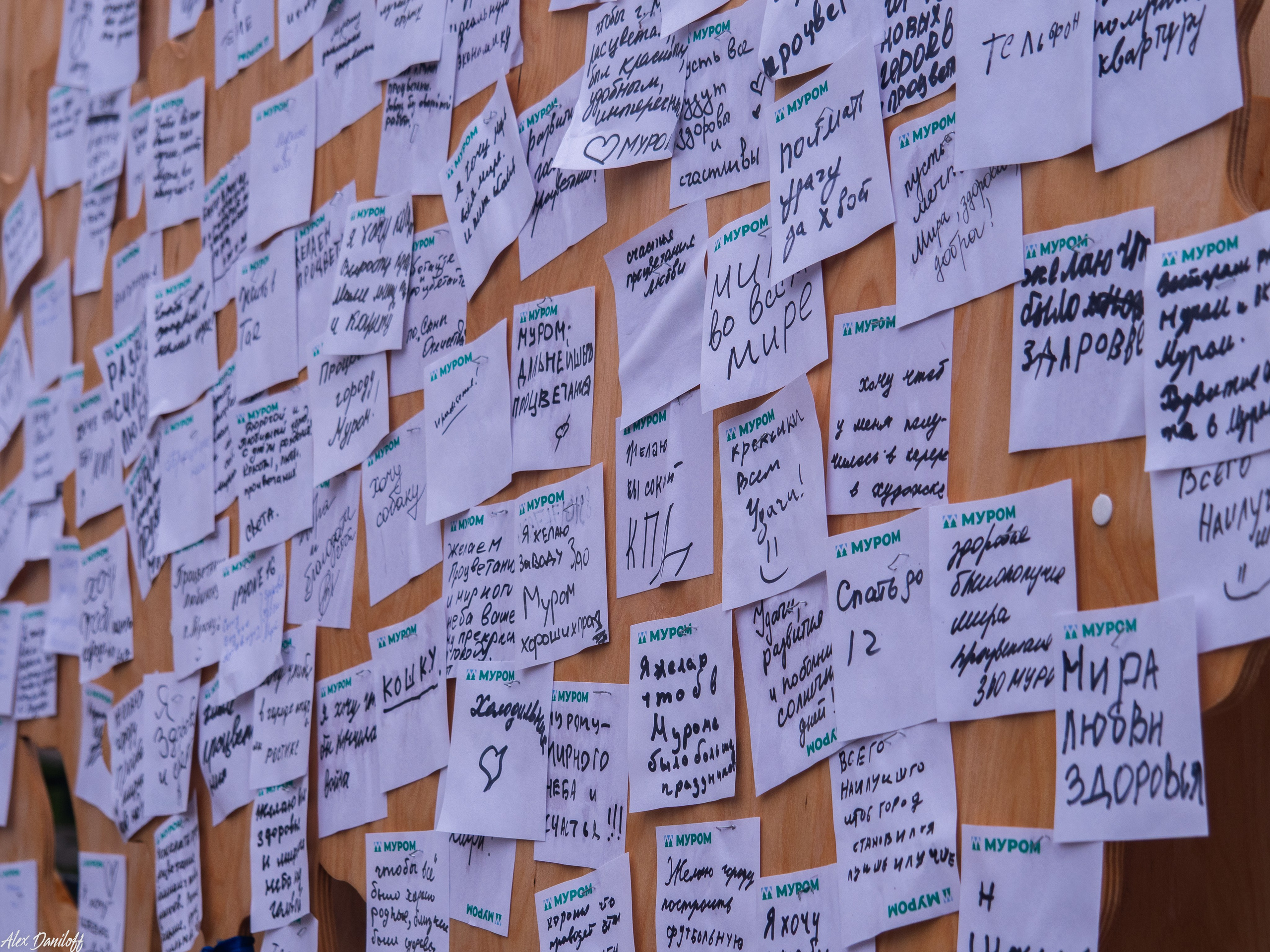 День города Муром 2025. Муром-Инфо. Новости культуры, образования, спорта в городе Муром