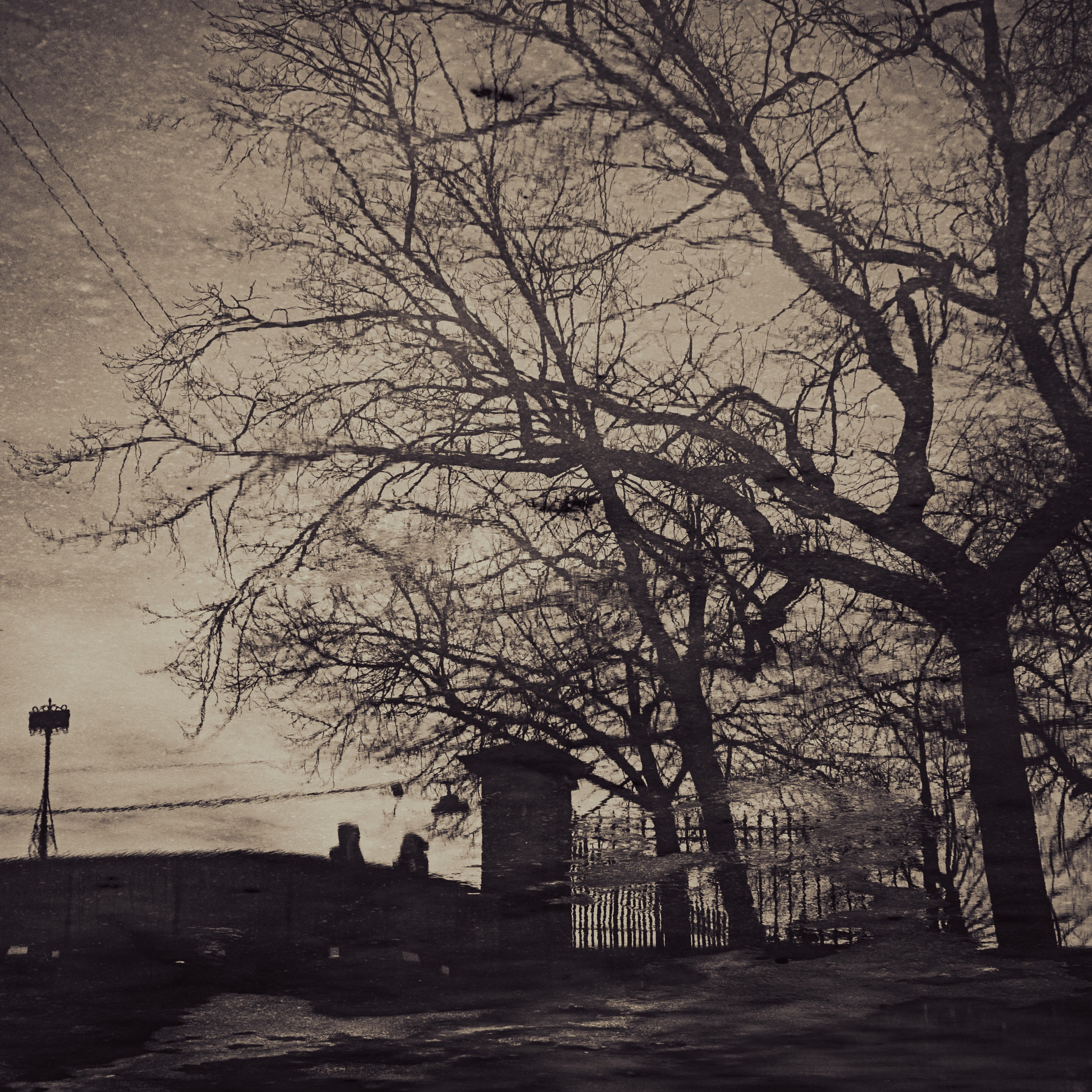 Зазеркалье 2025. Яна Каменская