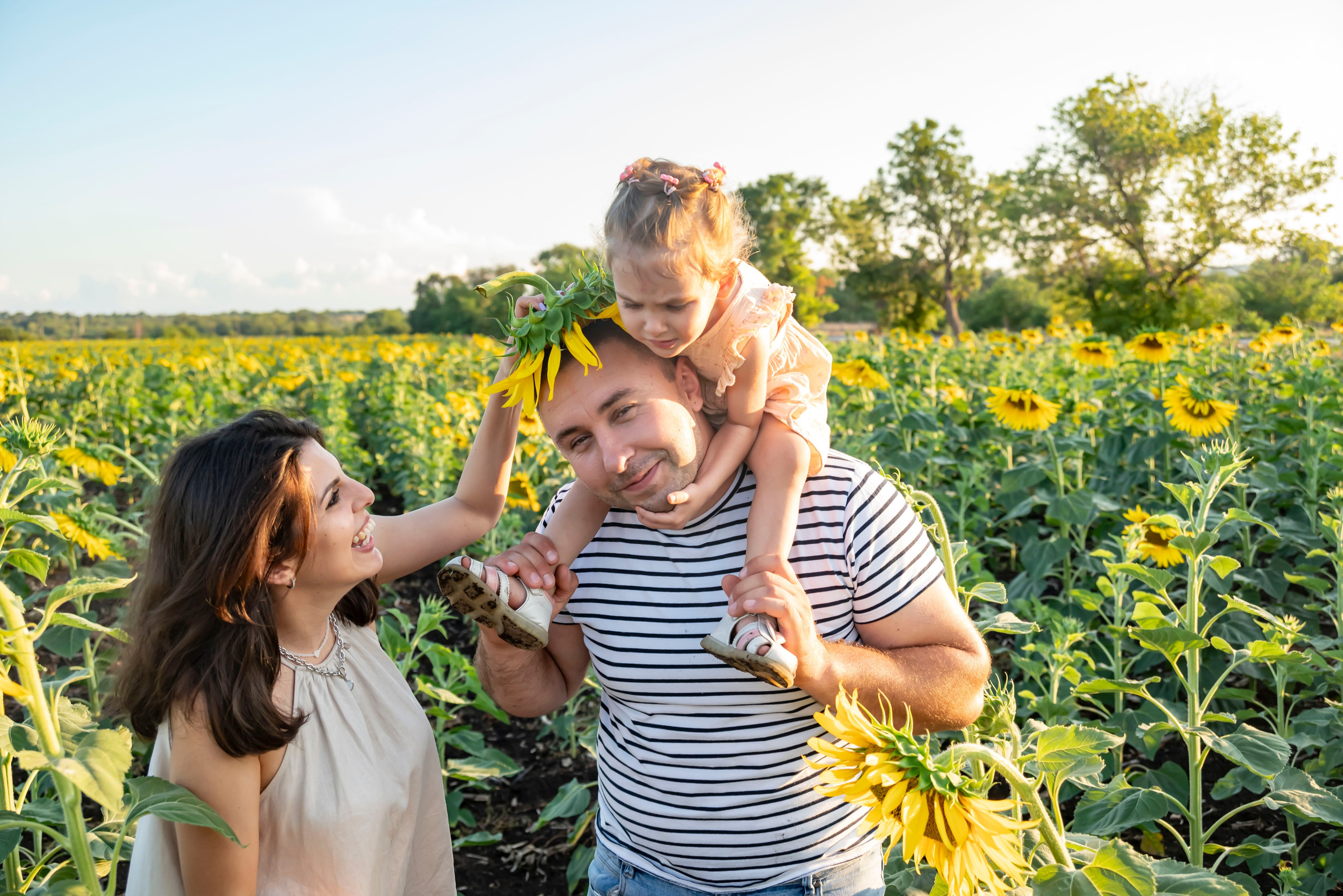 Летняя прогулка. Главная