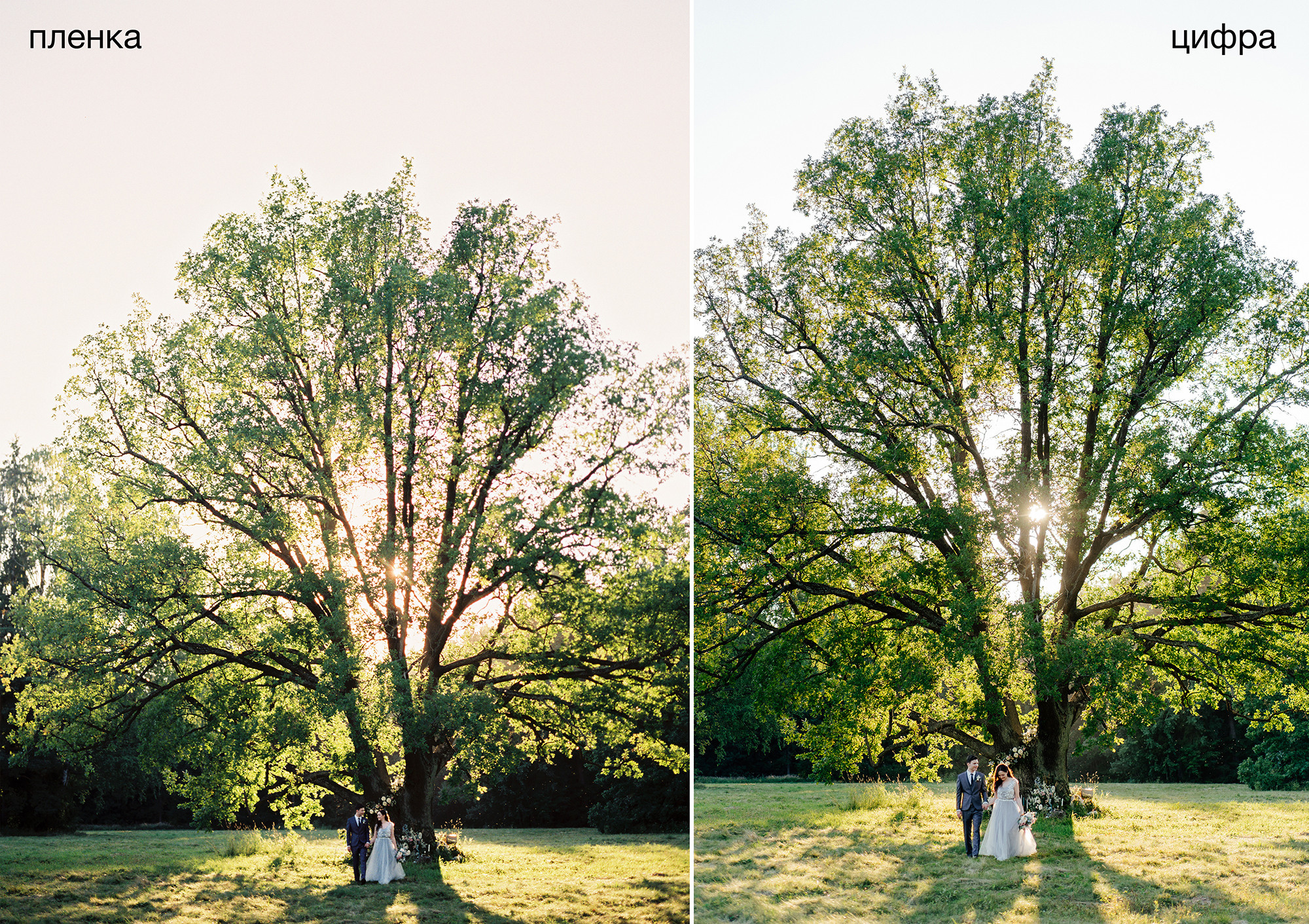 FAQ. Свадебный Fine Art фотограф в Санкт-Петербурге