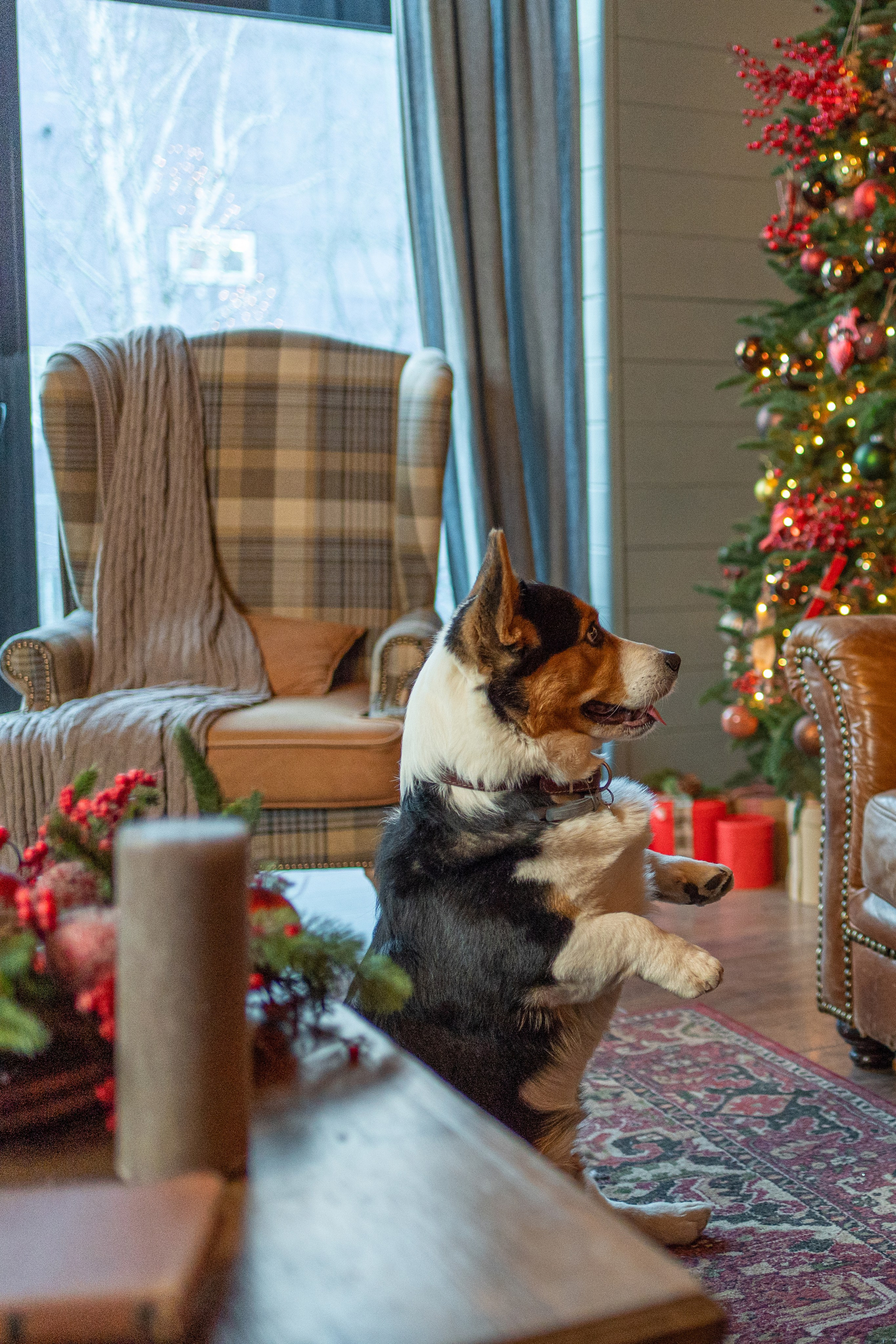 Новогоднее шале. Главная