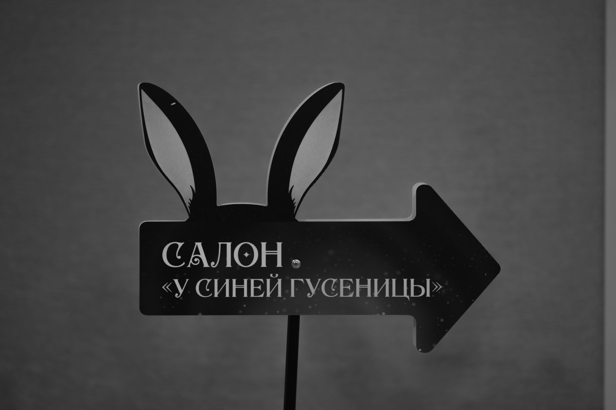 Bank Houm Credit. Свадебный и портретный фотограф в Москве Гудумак Евгений