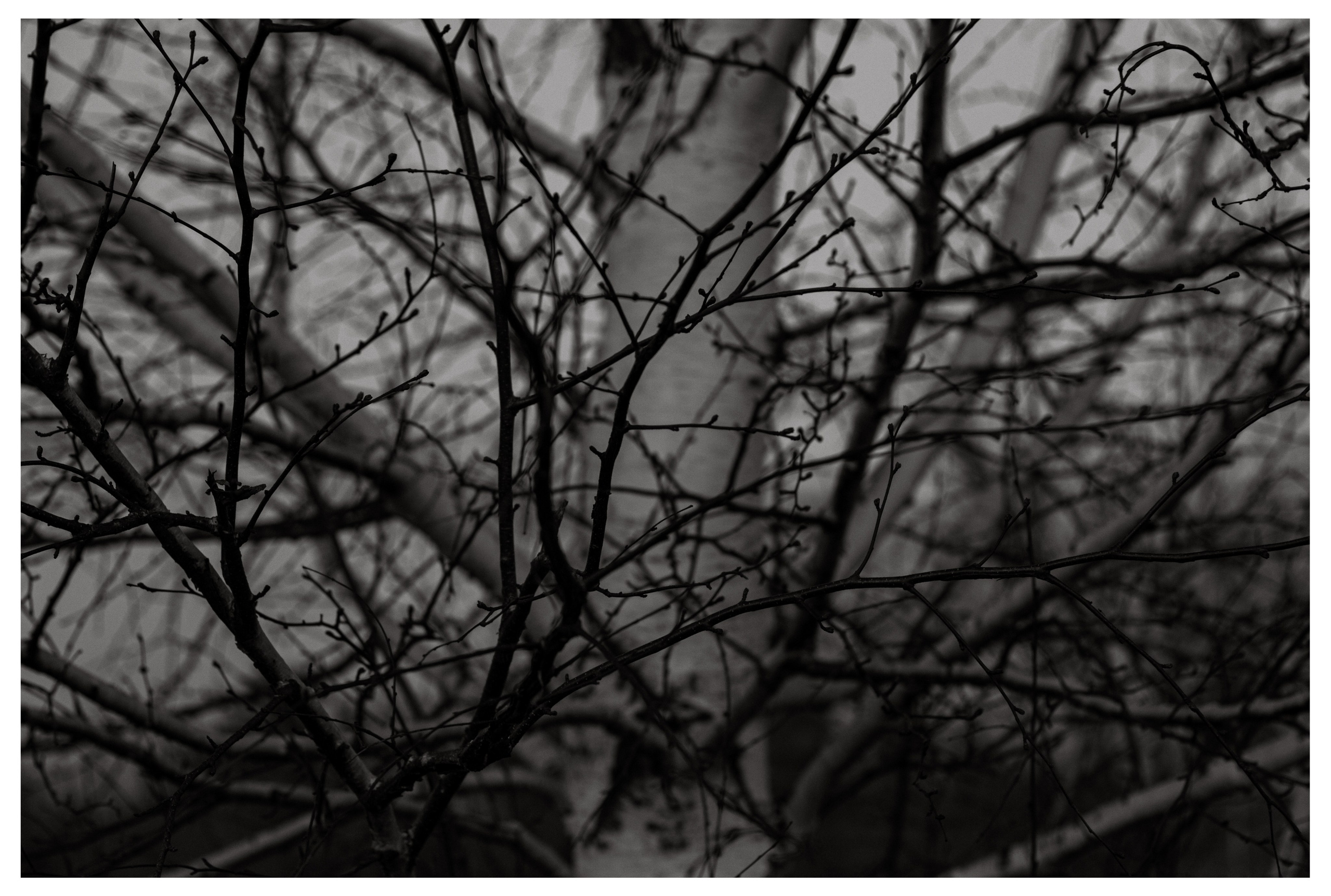 15.05.2025 | Сосновоборск. Kuznetsov | Фотограф в Красноярске