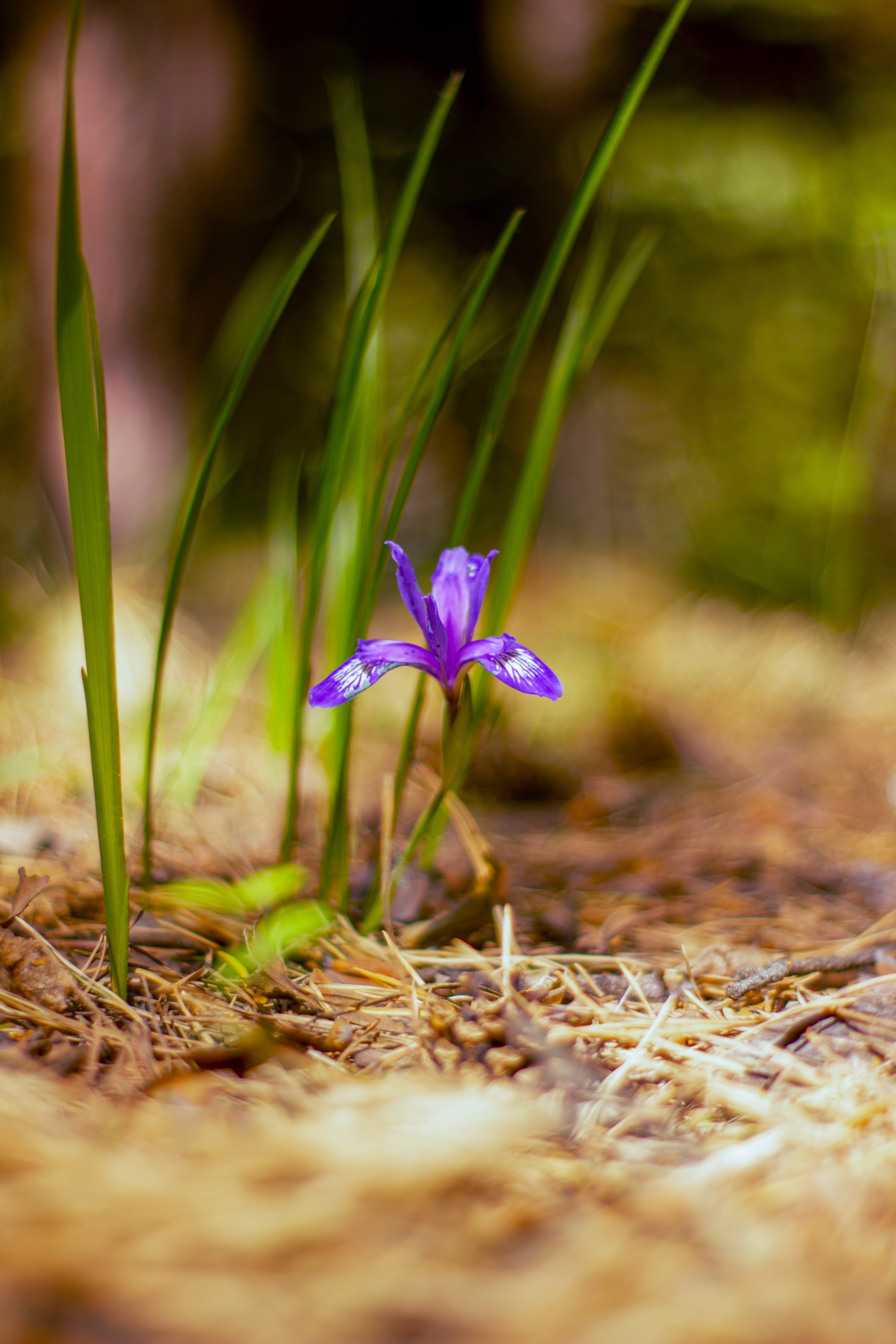 12.06.2024 | Красноярск. Kuznetsov | Фотограф в Красноярске