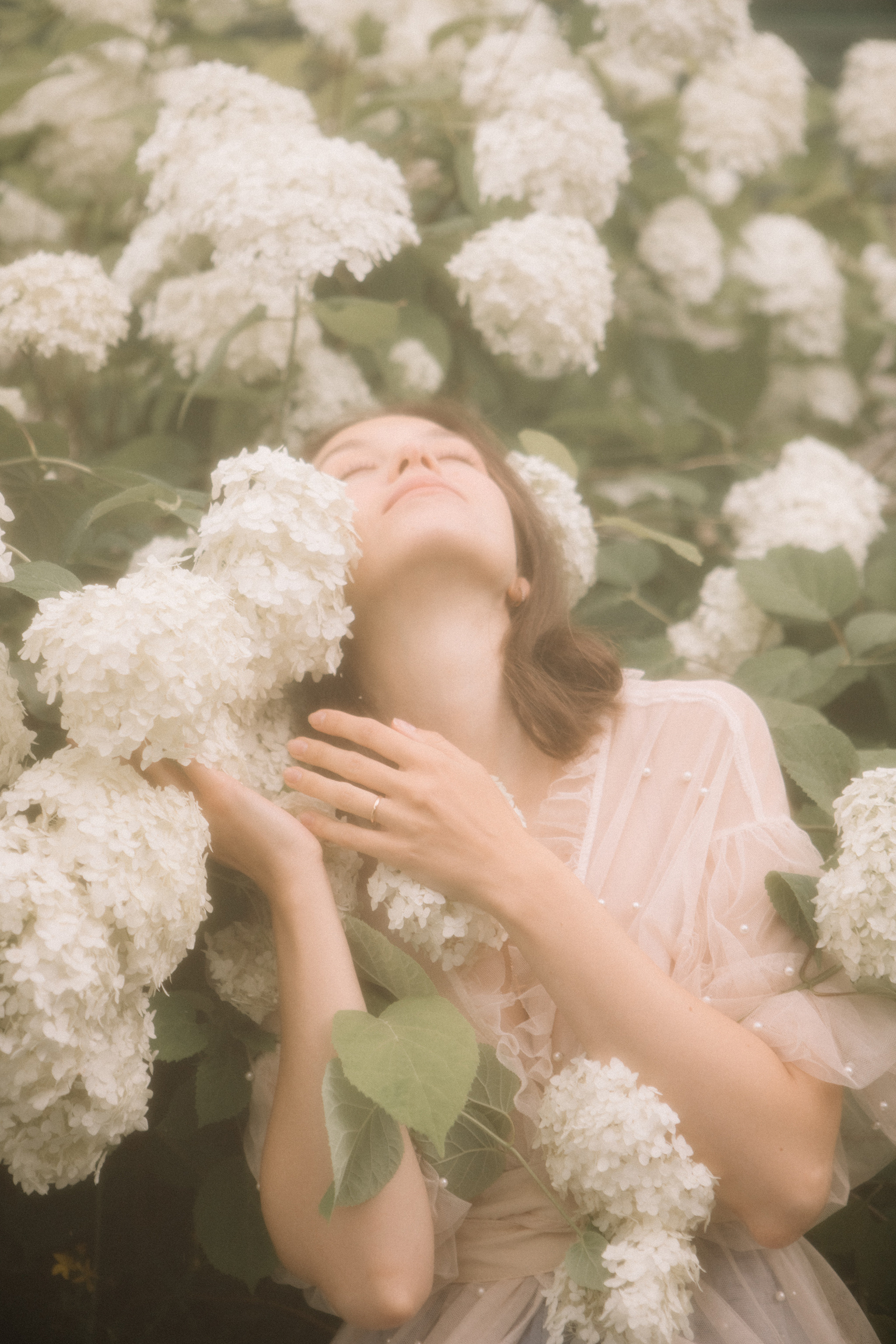 Откровения в гортензиях. Фотограф в Москве Серегина Екатерина