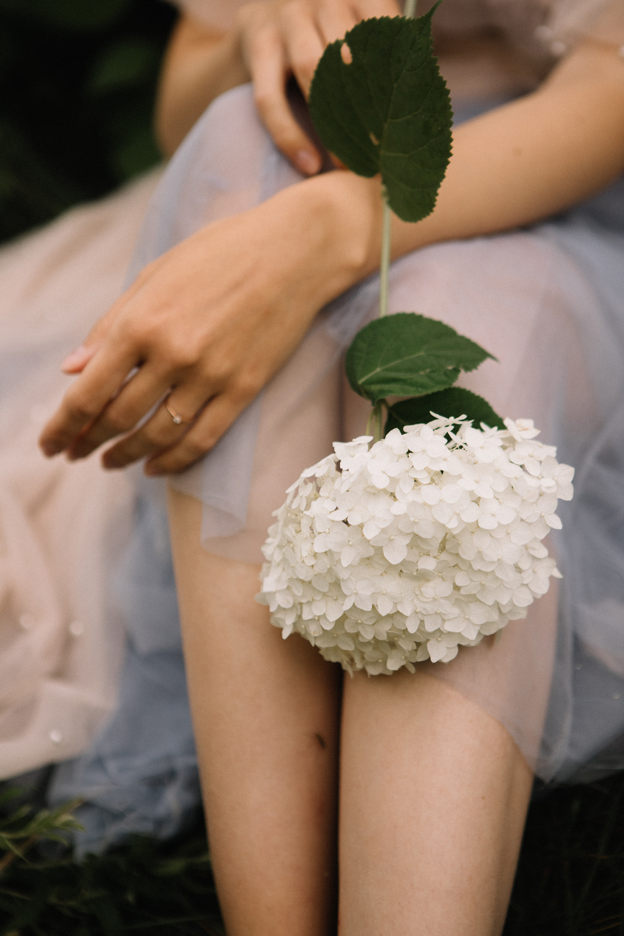 Откровения в гортензиях. Фотограф в Москве Серегина Екатерина