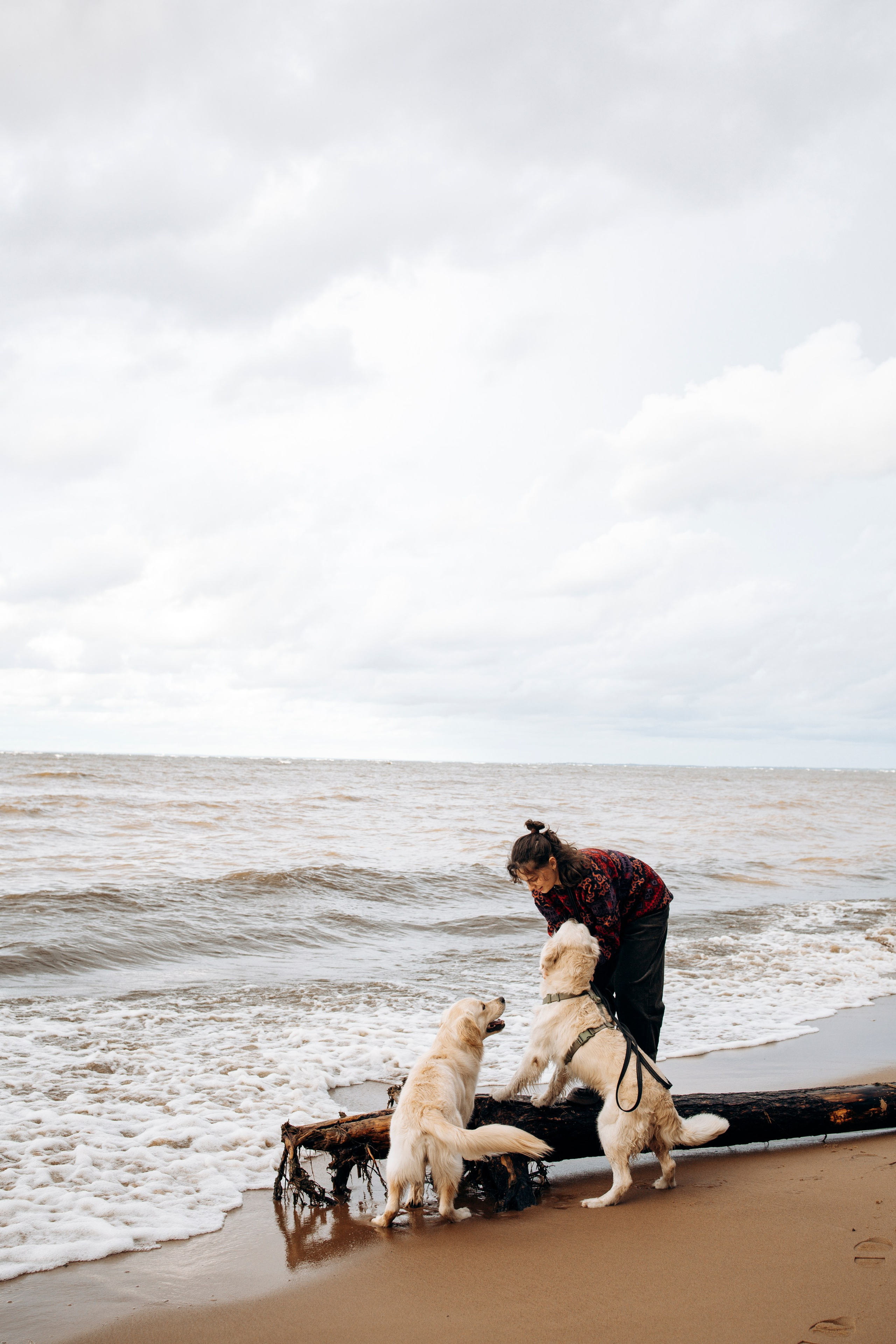 Прогулка Насти с Арчи и Арагоном. Фотограф-анималист в Санкт-Петеребурге Титова Алиса
