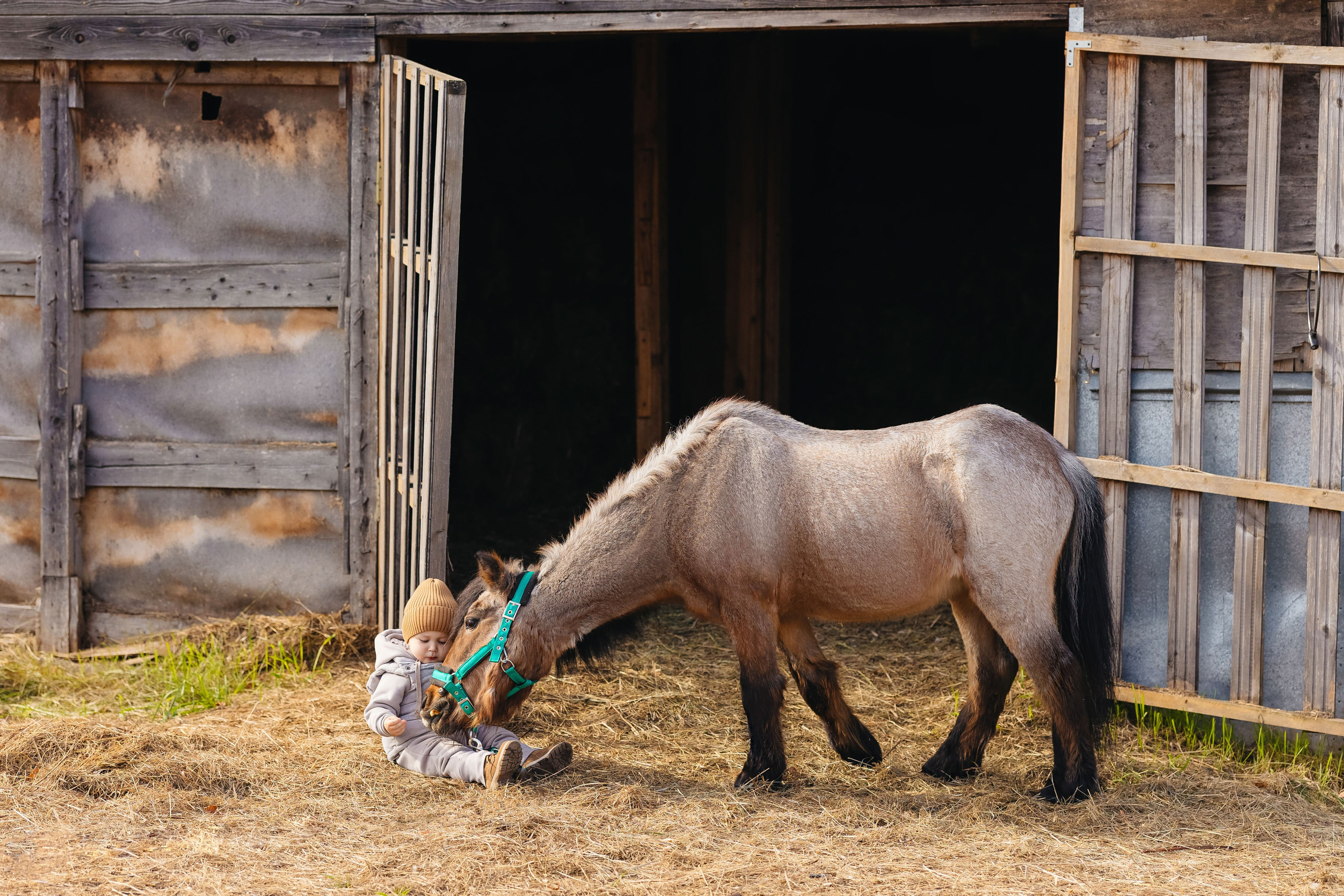 2024.10.02 Илья и лошадка. Ирина Бешляга. Фотограф в Москве и по всей России