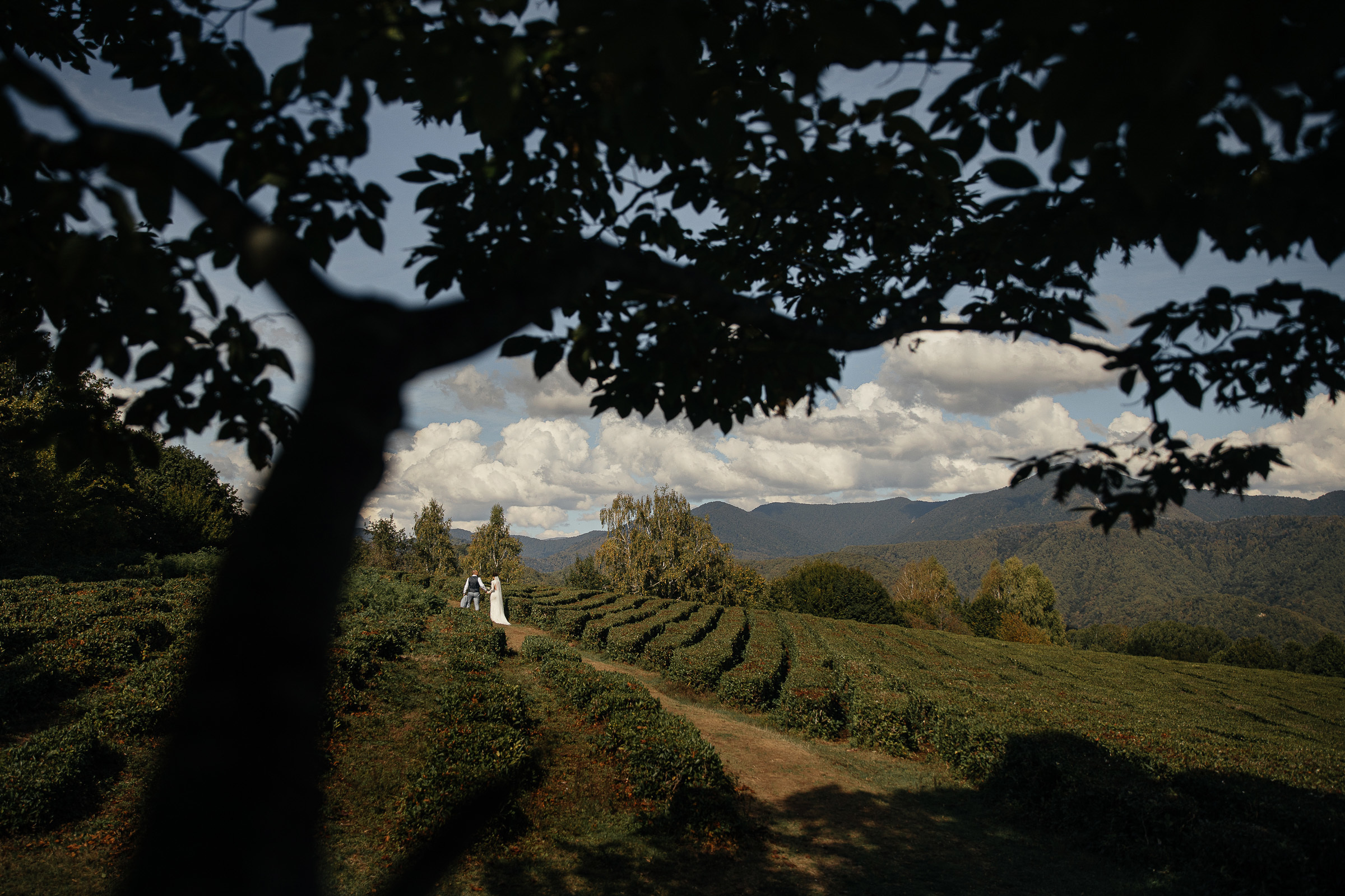 Анонс 04 10 2020 Сочи. Свадебный фотограф в Ростове-на-Дону Васильченко Сергей