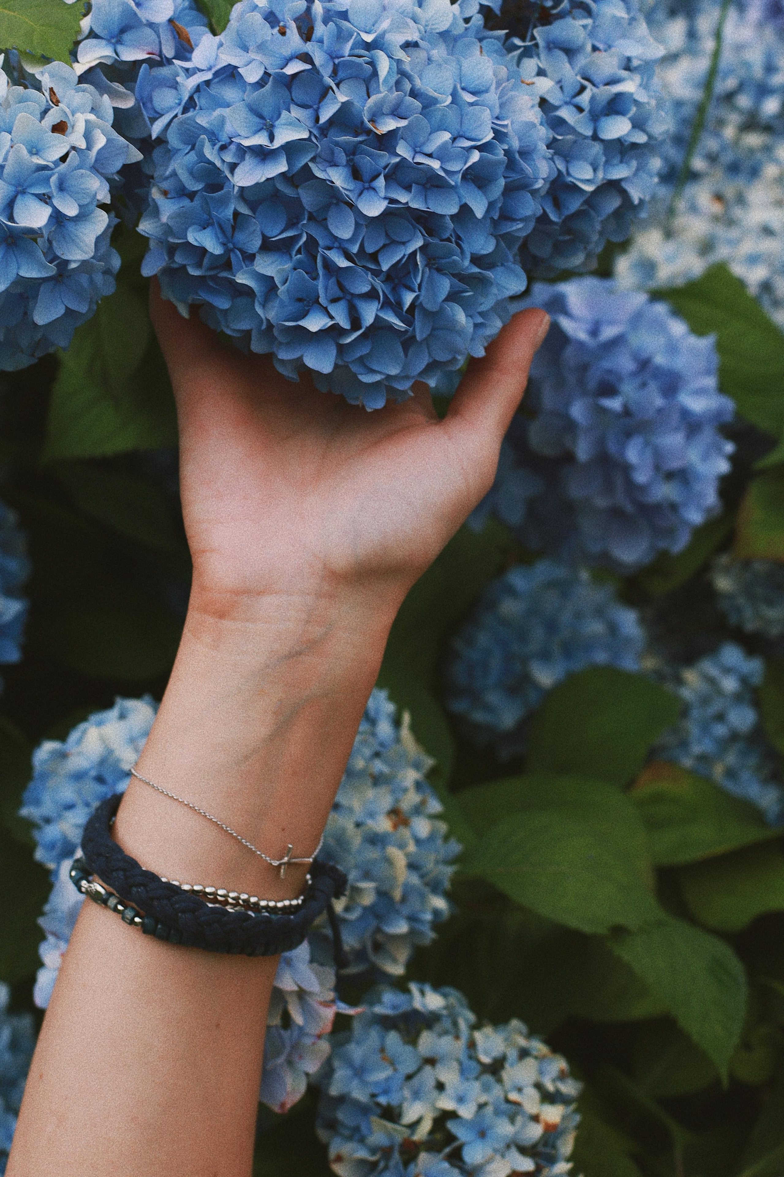 Олеся. Фотограф Ростов-на-Дону