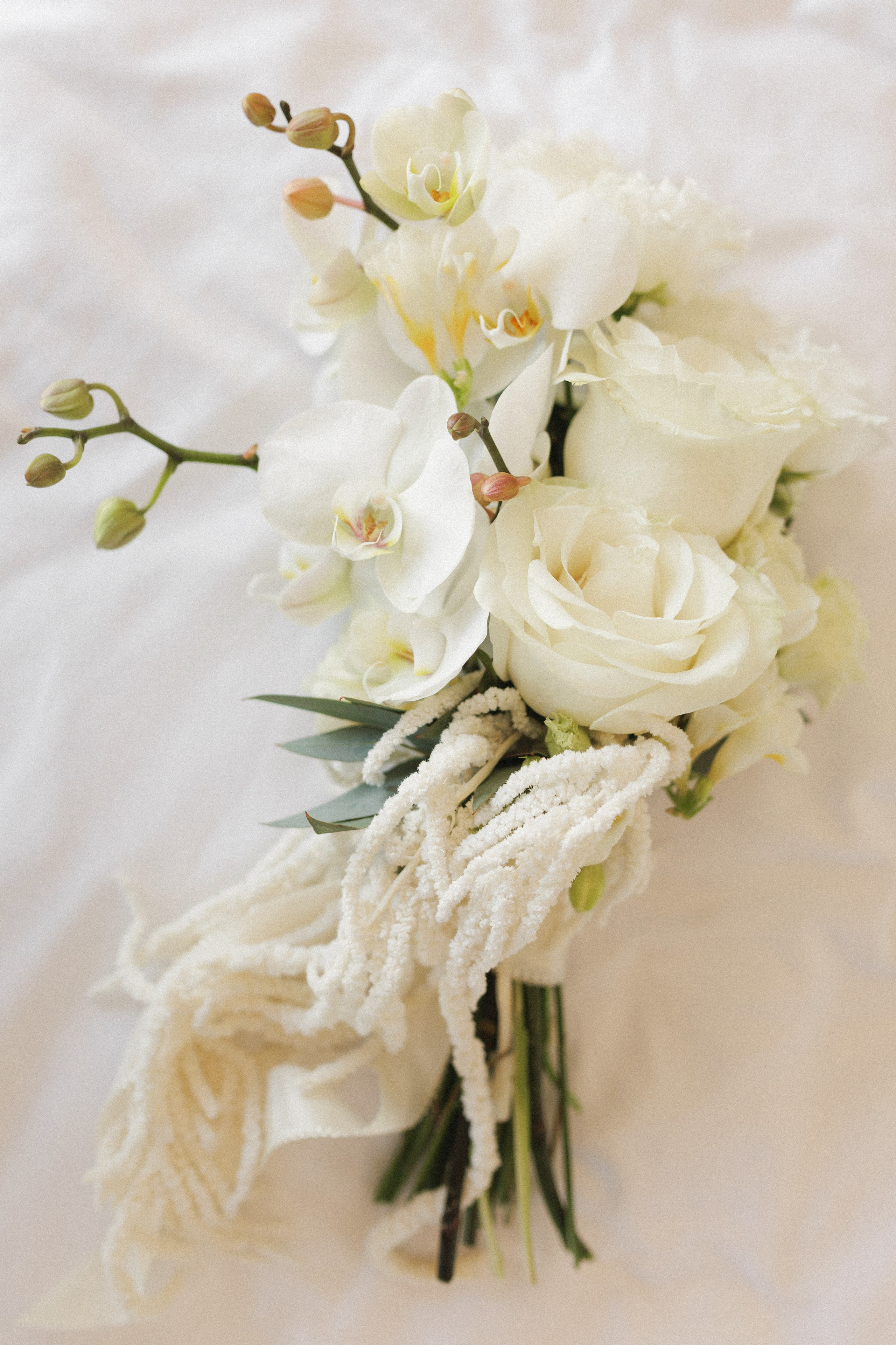 Ivan & Anastasiia. Anastasiya Krasnyuk