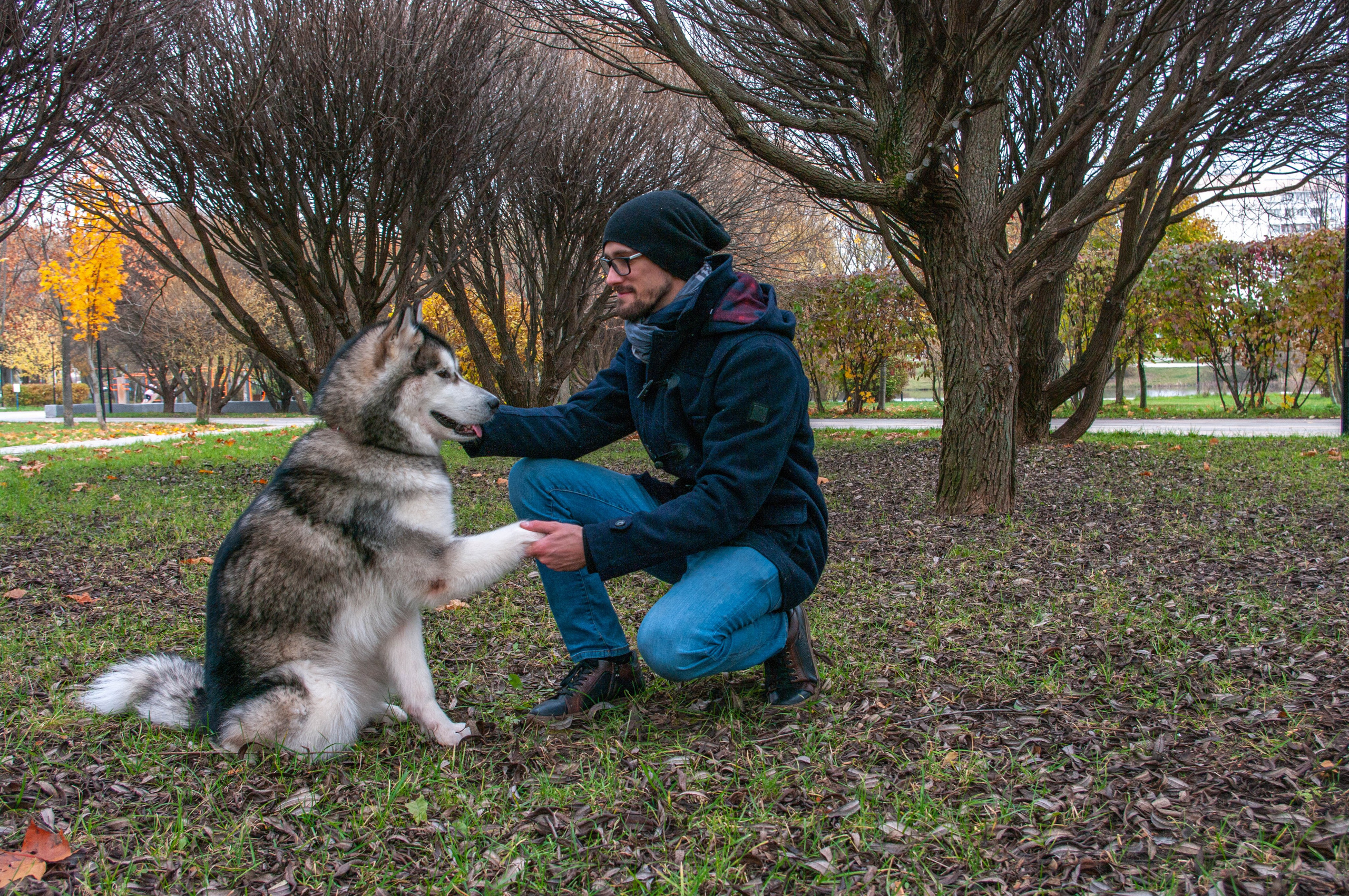 Прогулка. Арсентий и Надя, Кася и Шкед. Фотограф в Москве Леонид Калесник