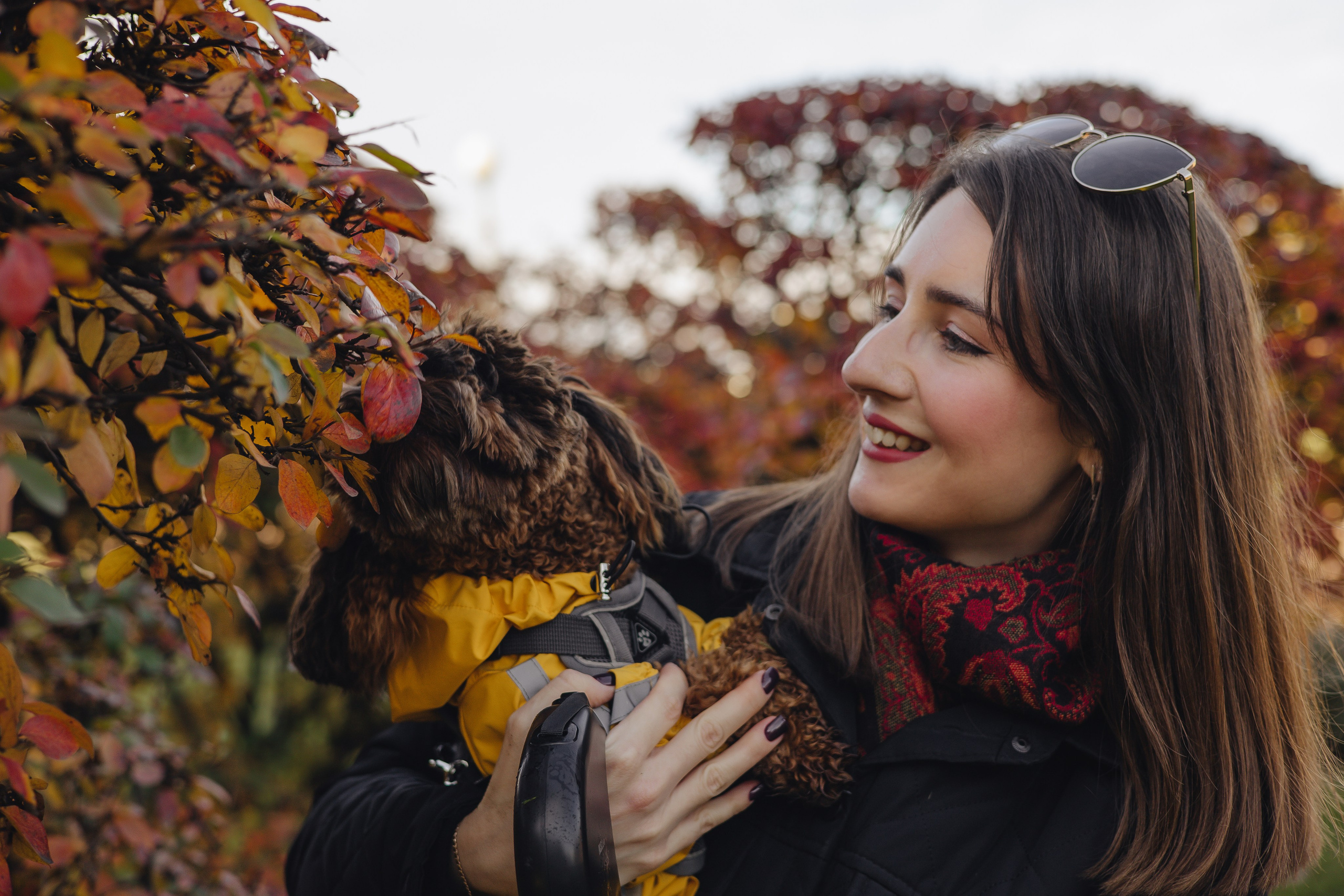 Летающая Мерси