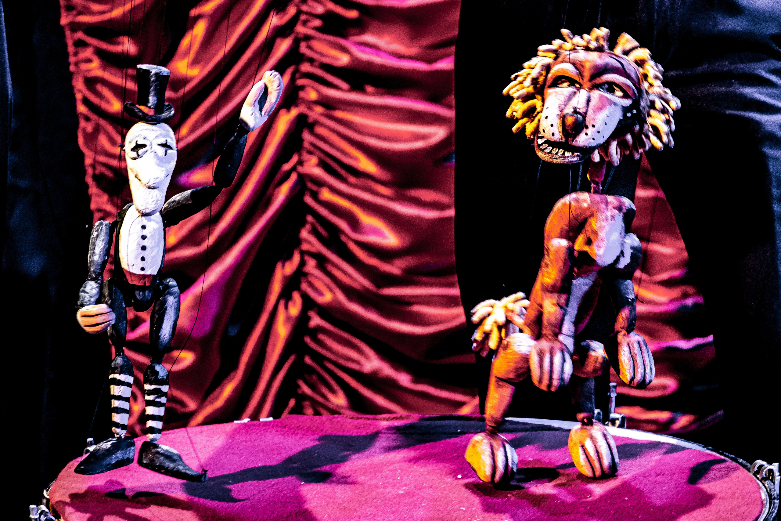 Цирк из Саквояжа спектакль театра САКВОЯЖ. Фотограф в Сочи Юрий Шептаев