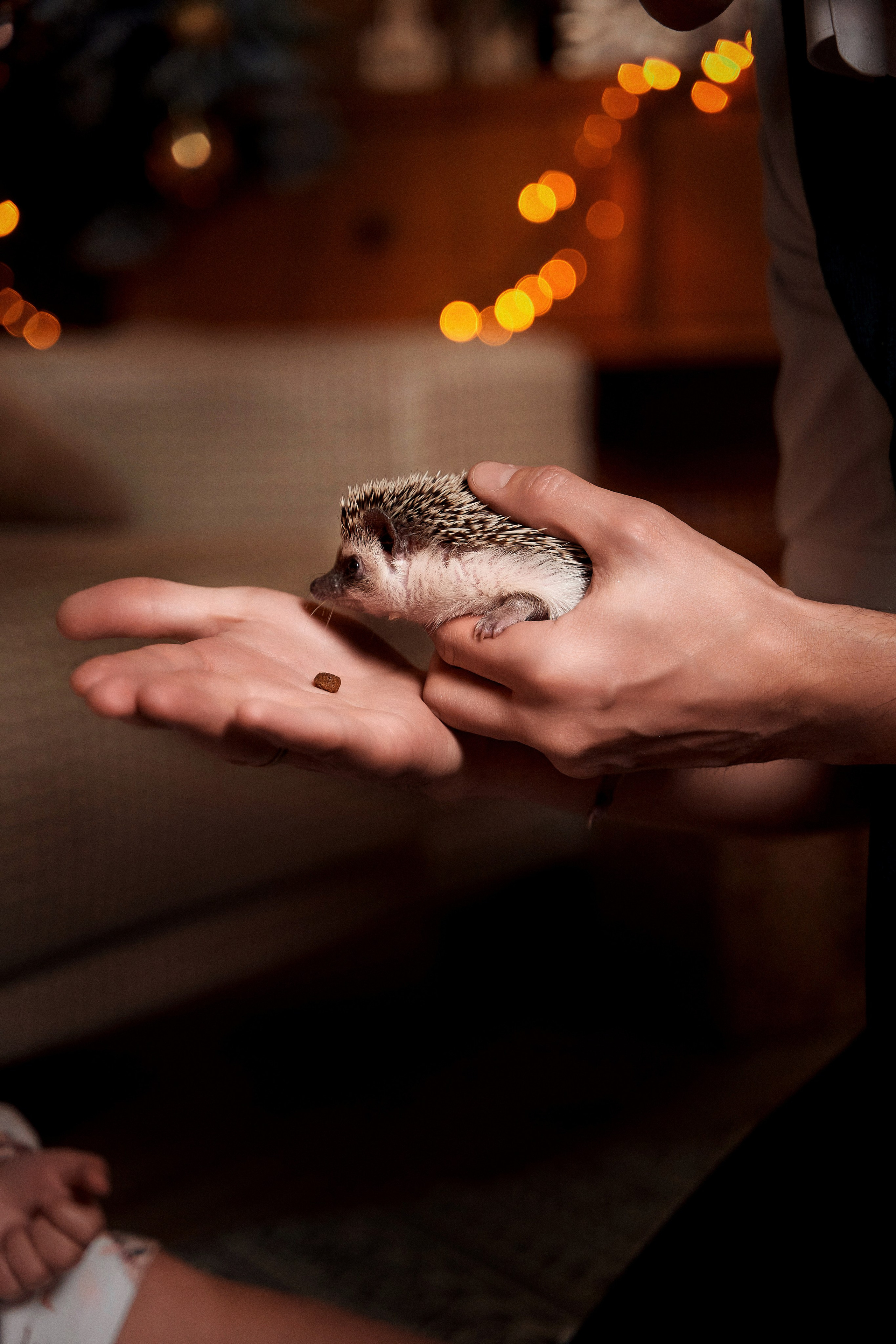 Сережа с семьей. Свадебный и семейный фотограф Игорь Елагин