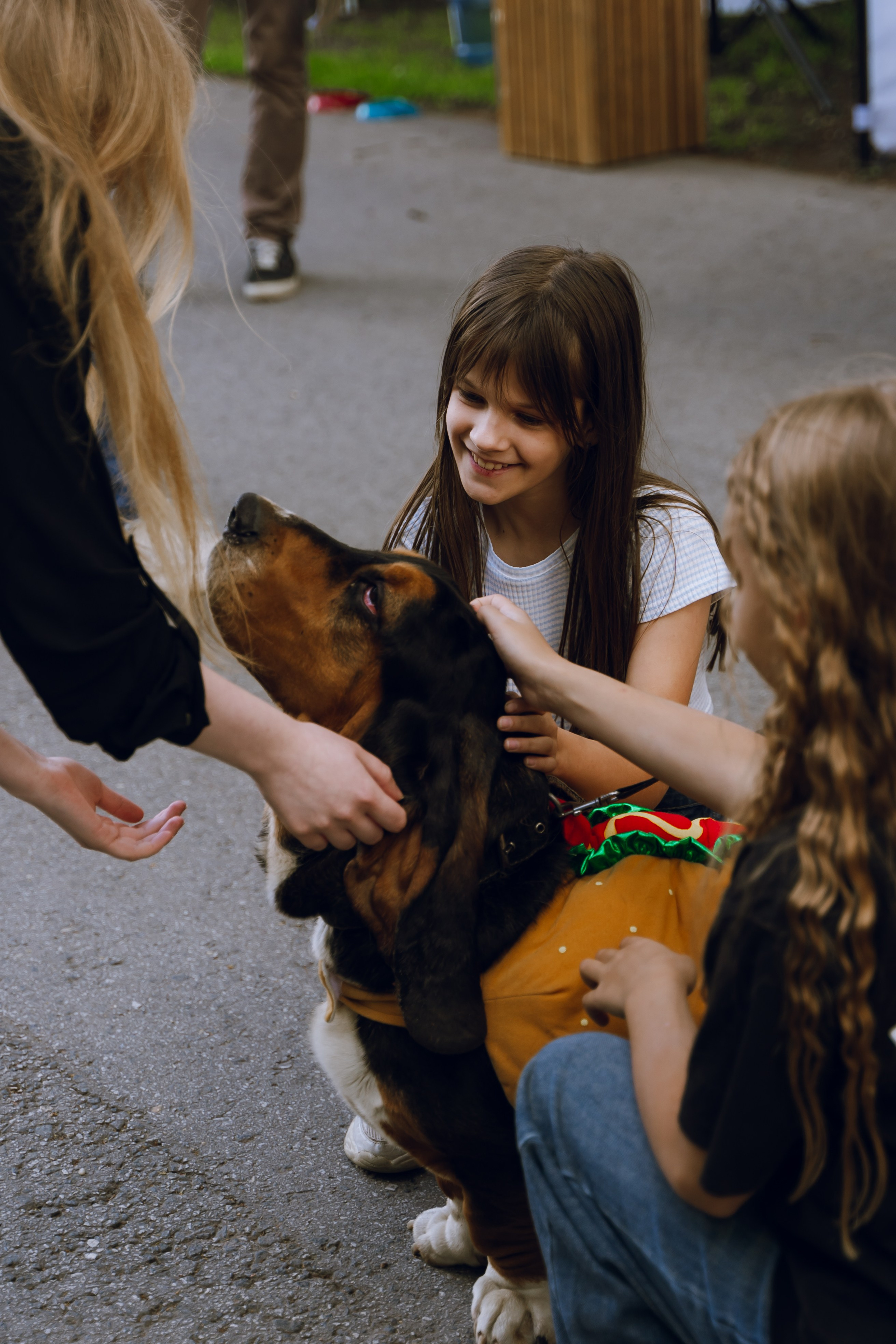 Площадка фестиваля «Мампус и его друзья» в Лесопарке 2025. Фотограф Надежда Погребняк | Рязань | Москва