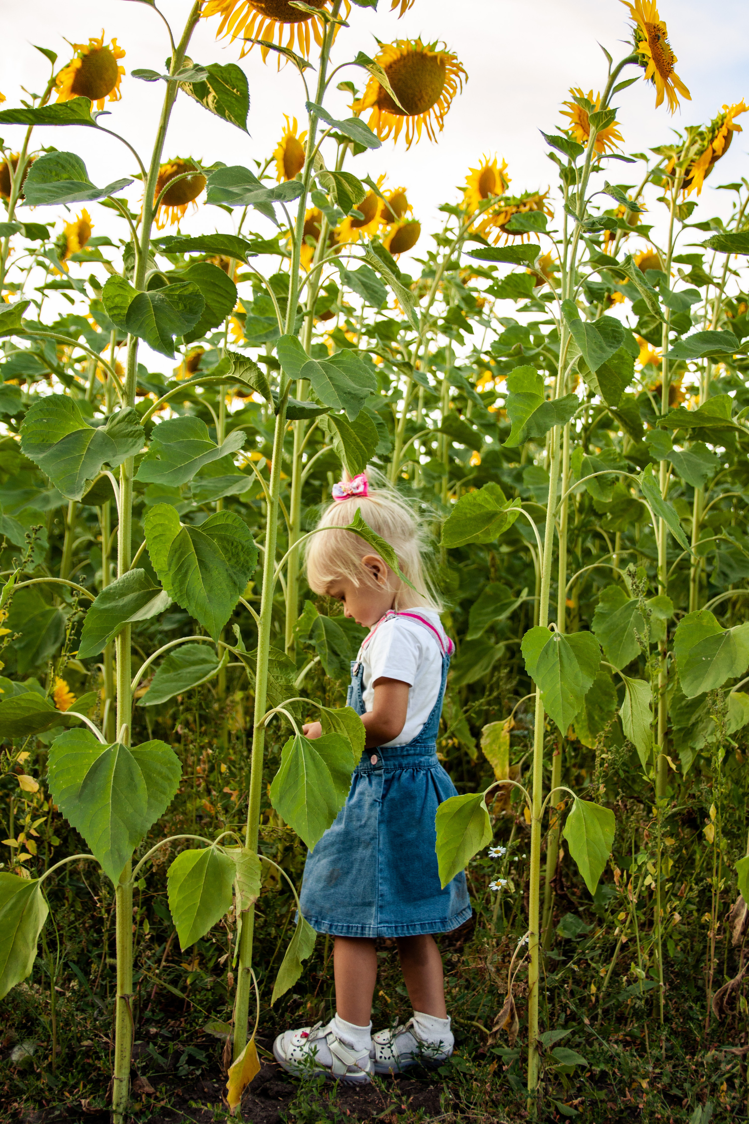 Фотосессия на природе. Семейный и Персональный фотограф в Пензе