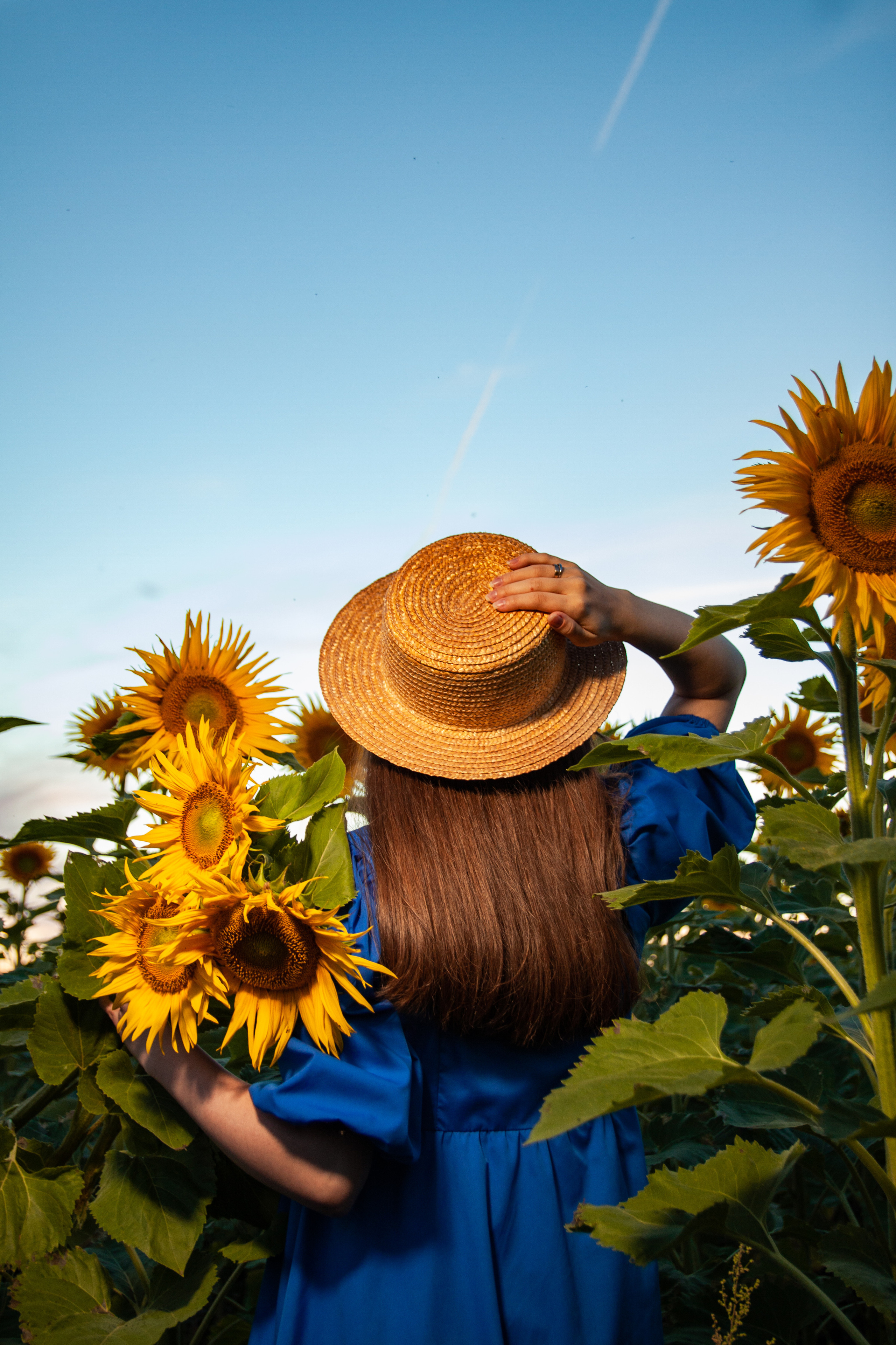 В подсолнухах на закате. Семейный и Персональный фотограф в Пензе