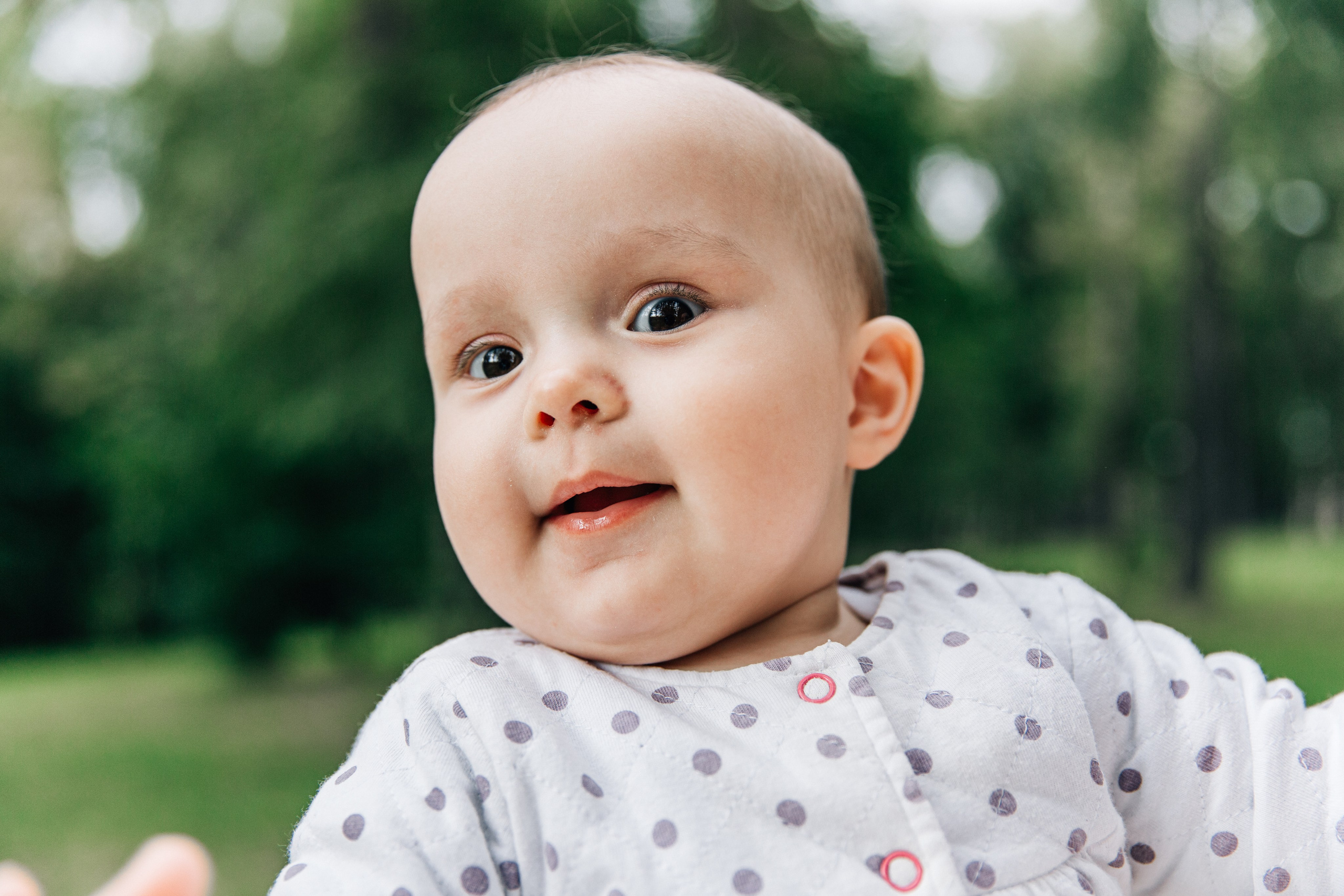 Аня, Вера, Кира и мама. Фотограф-анималист в Москве Соломонова Варвара