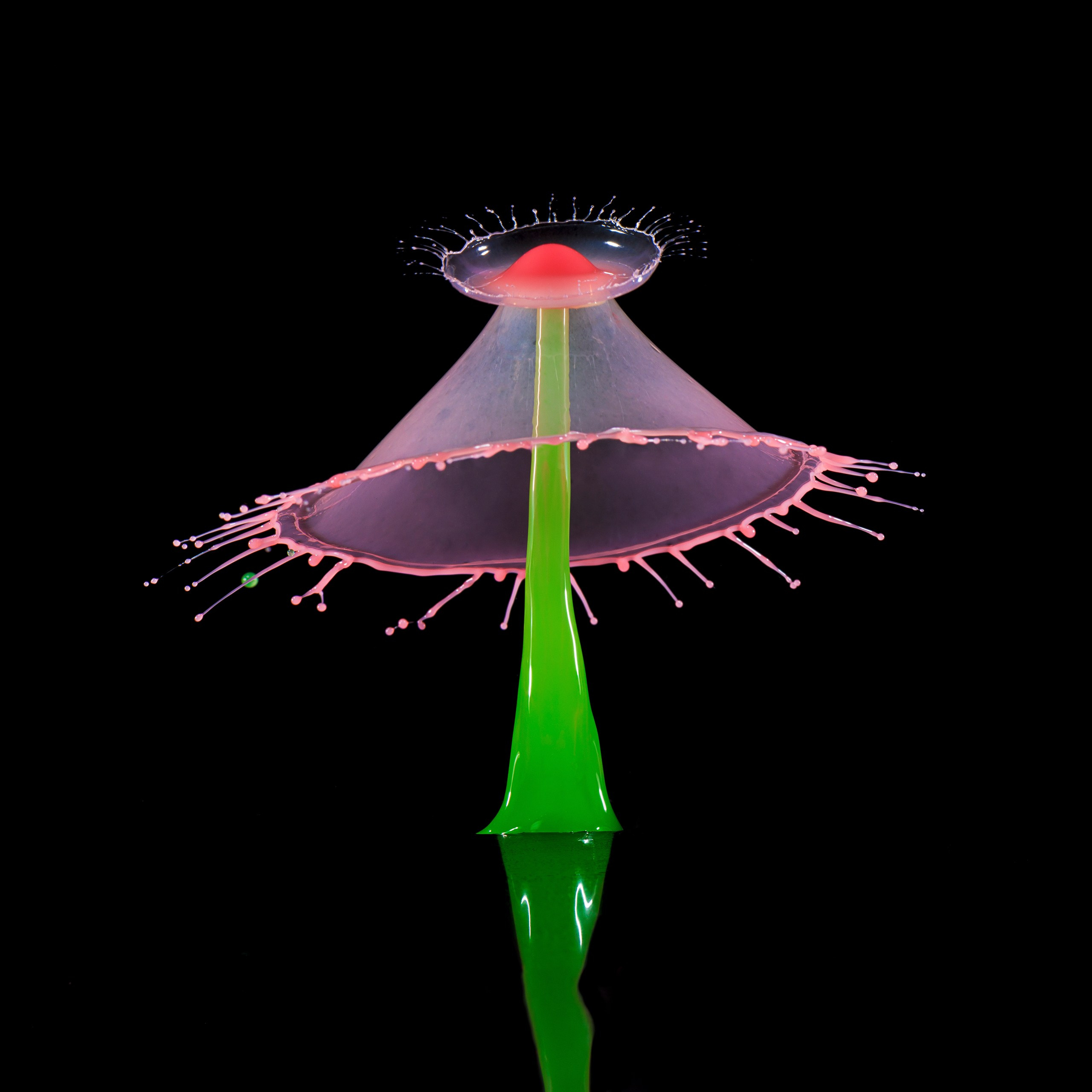 Классические формы. Скульптуры из воды Сергея Толмачева